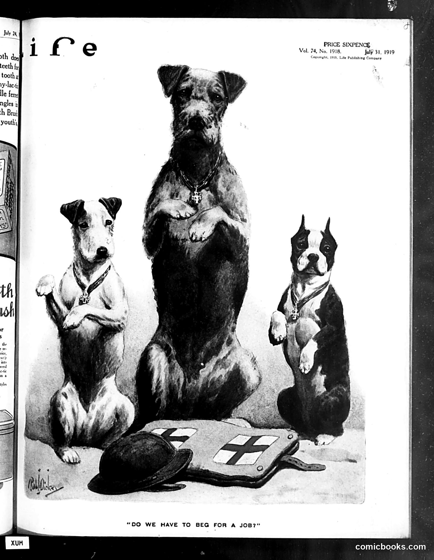 Life — July 31, 1919 — page 1 of 40