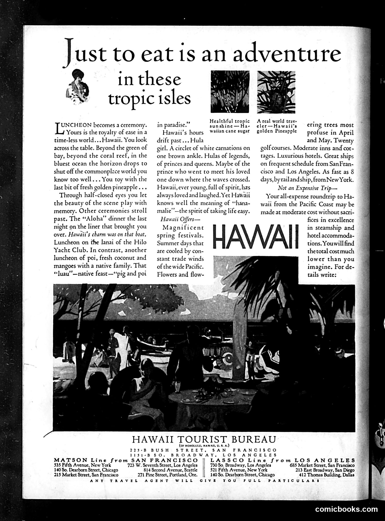 Life — January 30, 1931 — page 36 of 36