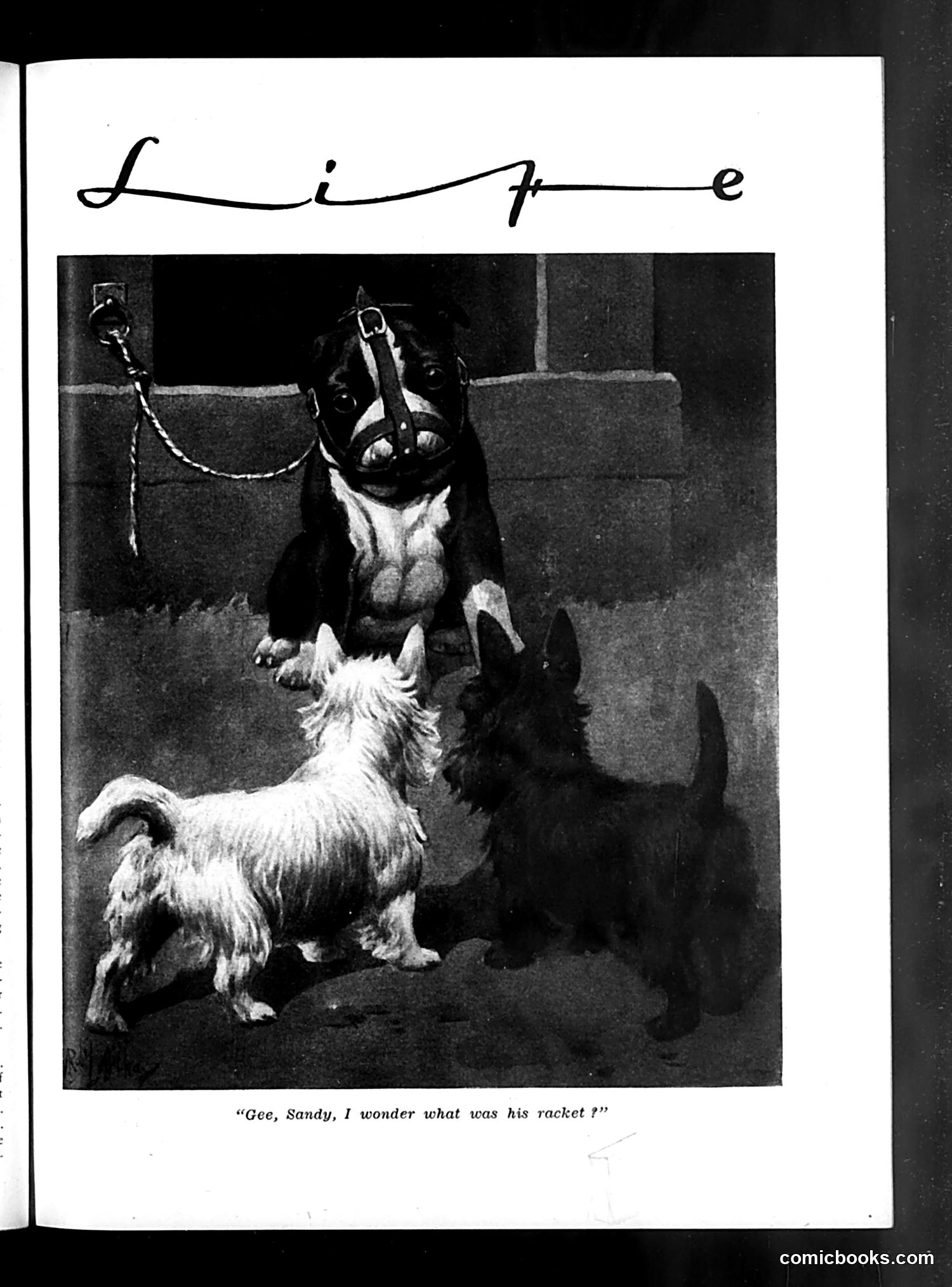 Life — February 13, 1931 — page 5 of 36