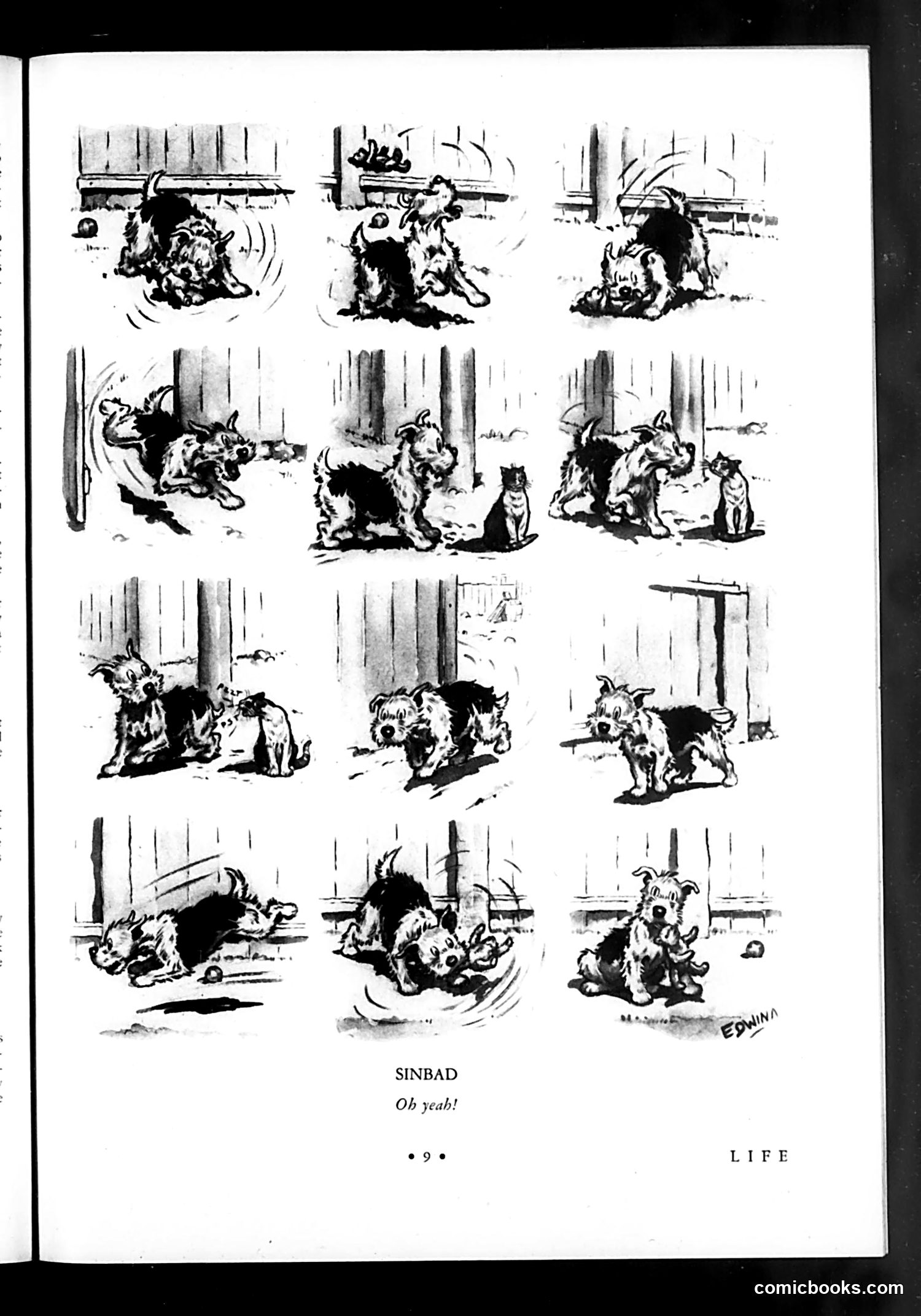 Life — March 6, 1931 — page 11 of 36