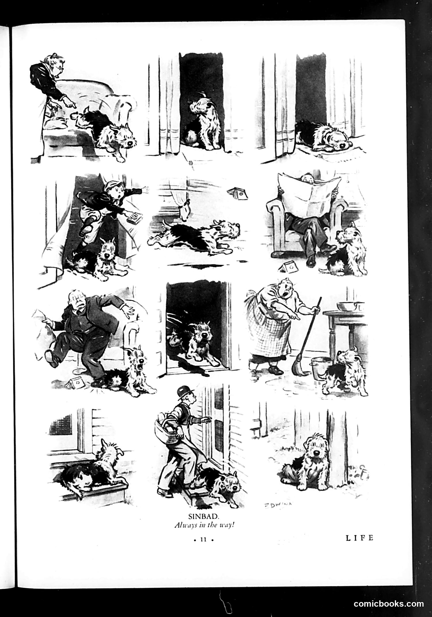 Life — May 15, 1931 — page 13 of 36