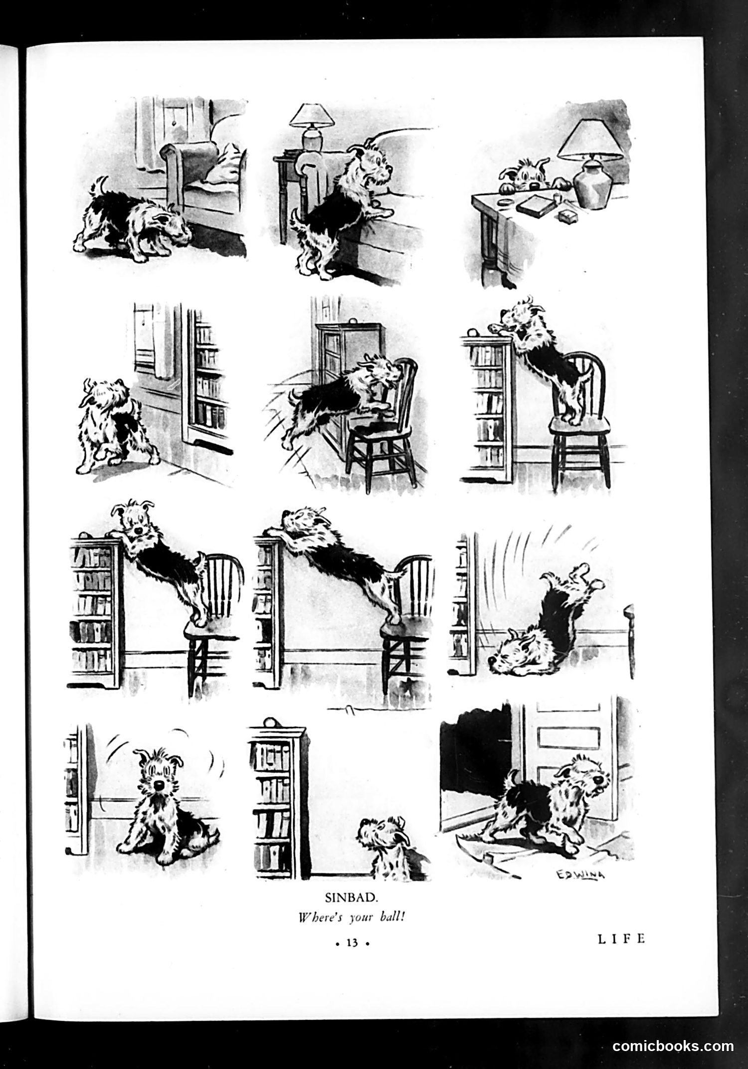 Life — May 22, 1931 — page 15 of 36