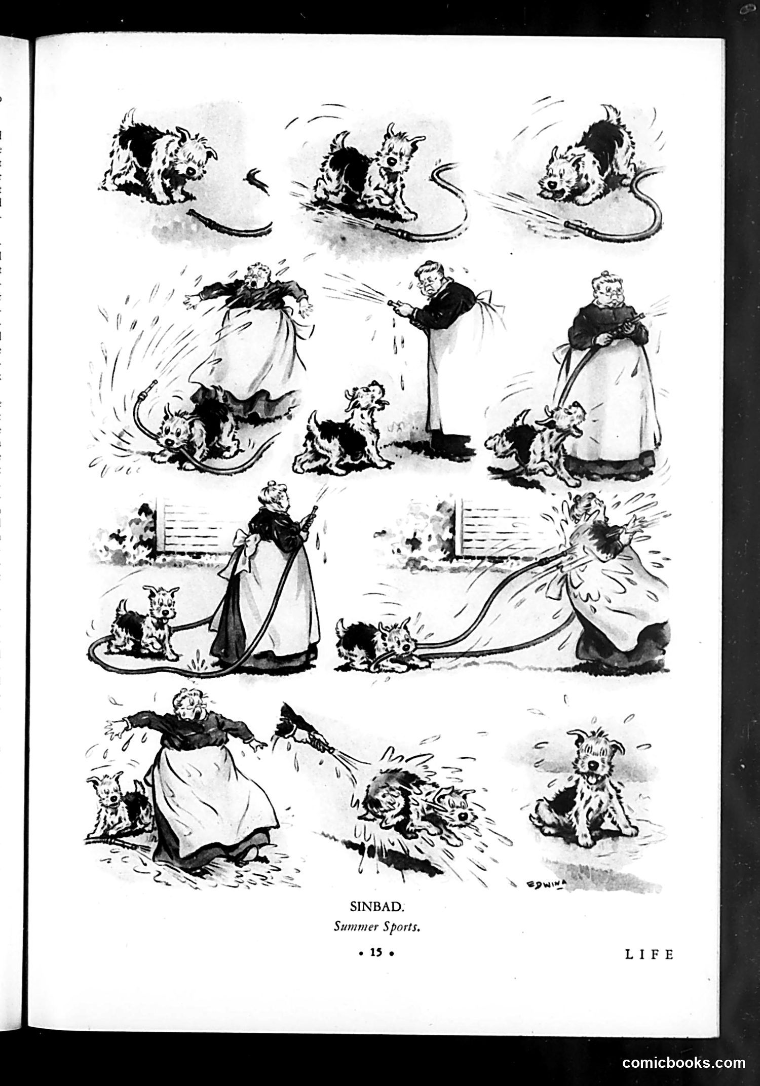 Life — May 29, 1931 — page 17 of 36