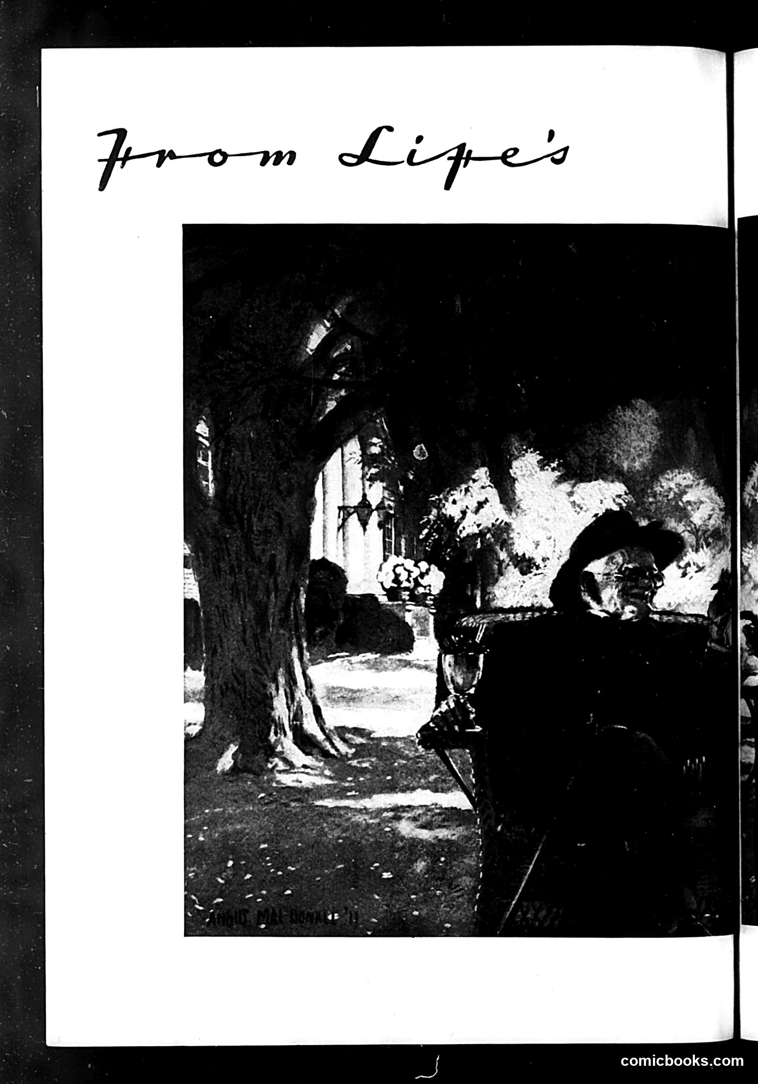Life — May 29, 1931 — page 28 of 36