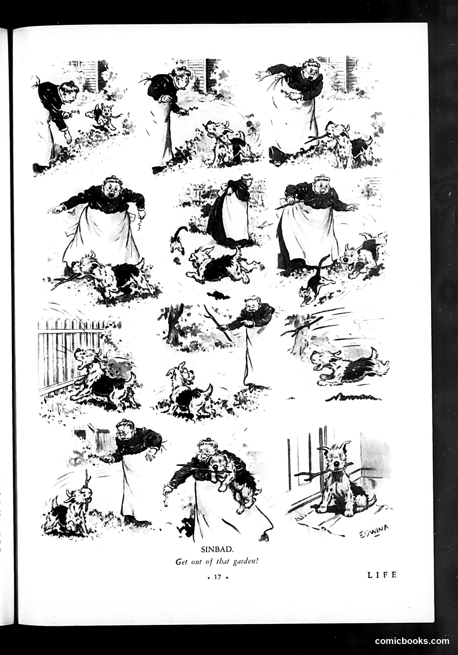 Life — June 5, 1931 — page 19 of 36