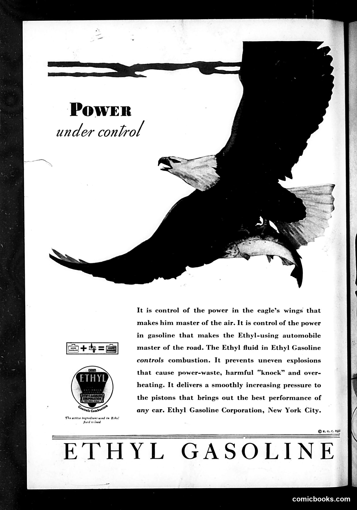 Life — June 5, 1931 — page 36 of 36