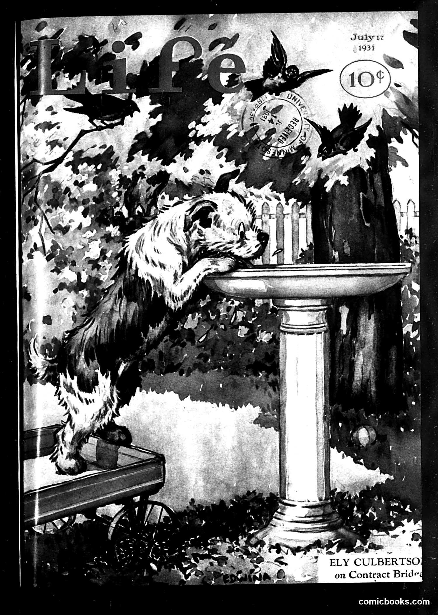 Life — July 17, 1931 — page 1 of 36