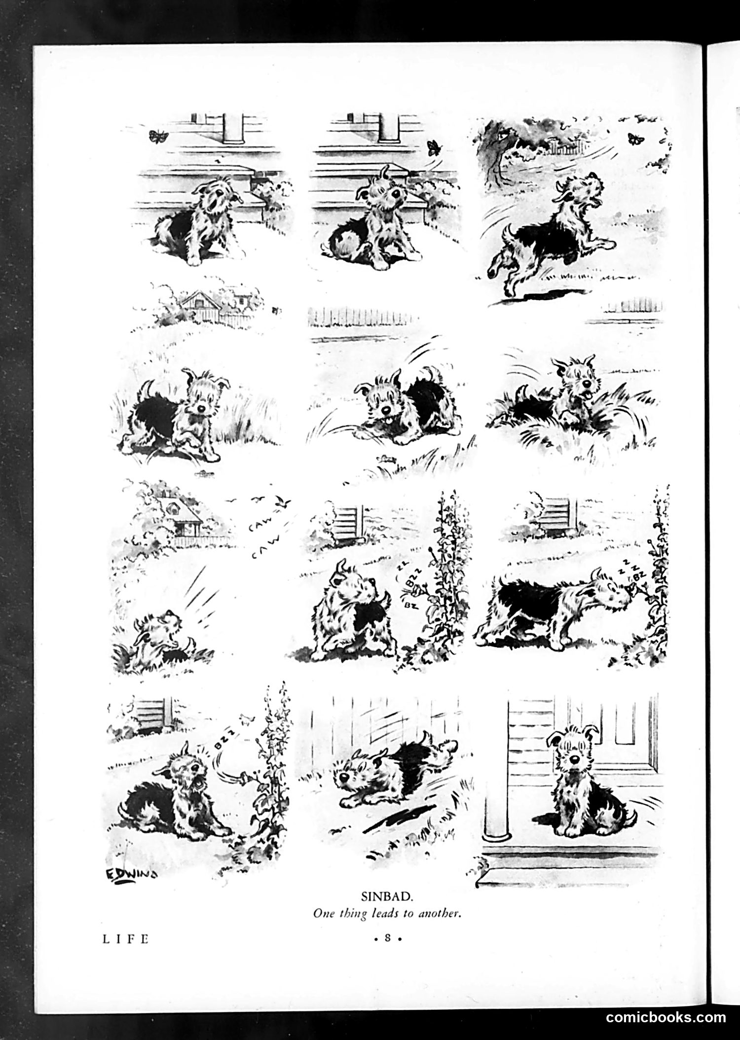 Life — August 7, 1931 — page 10 of 37
