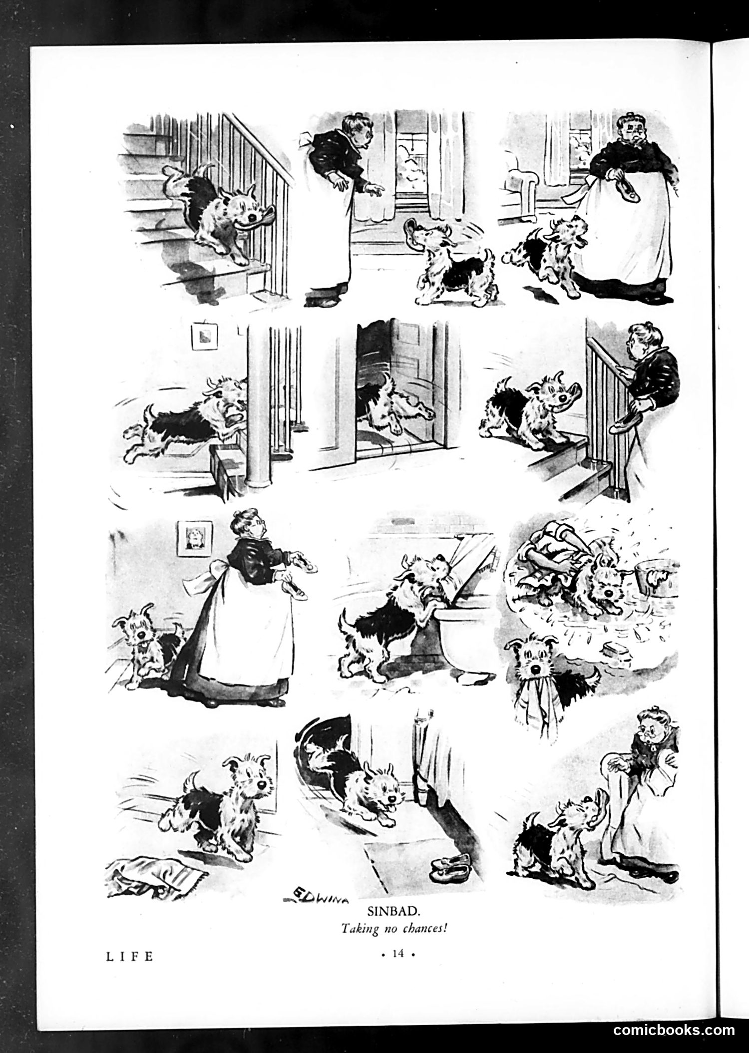 Life — August 14, 1931 — page 16 of 36