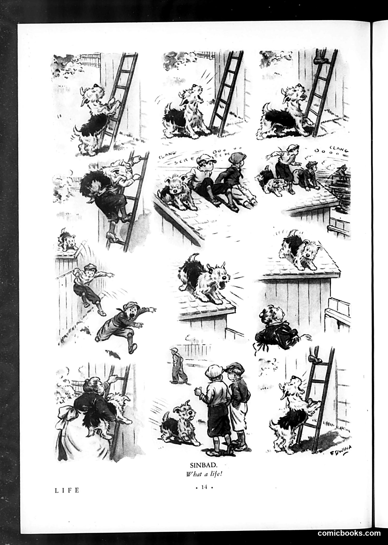 Life — August 21, 1931 — page 16 of 36