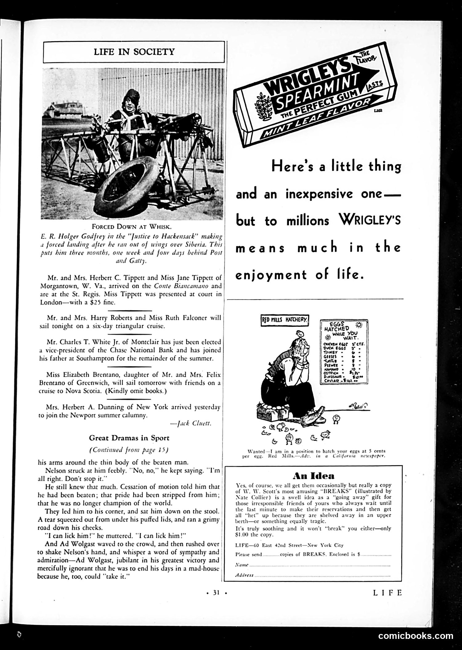 Life — August 21, 1931 — page 33 of 36