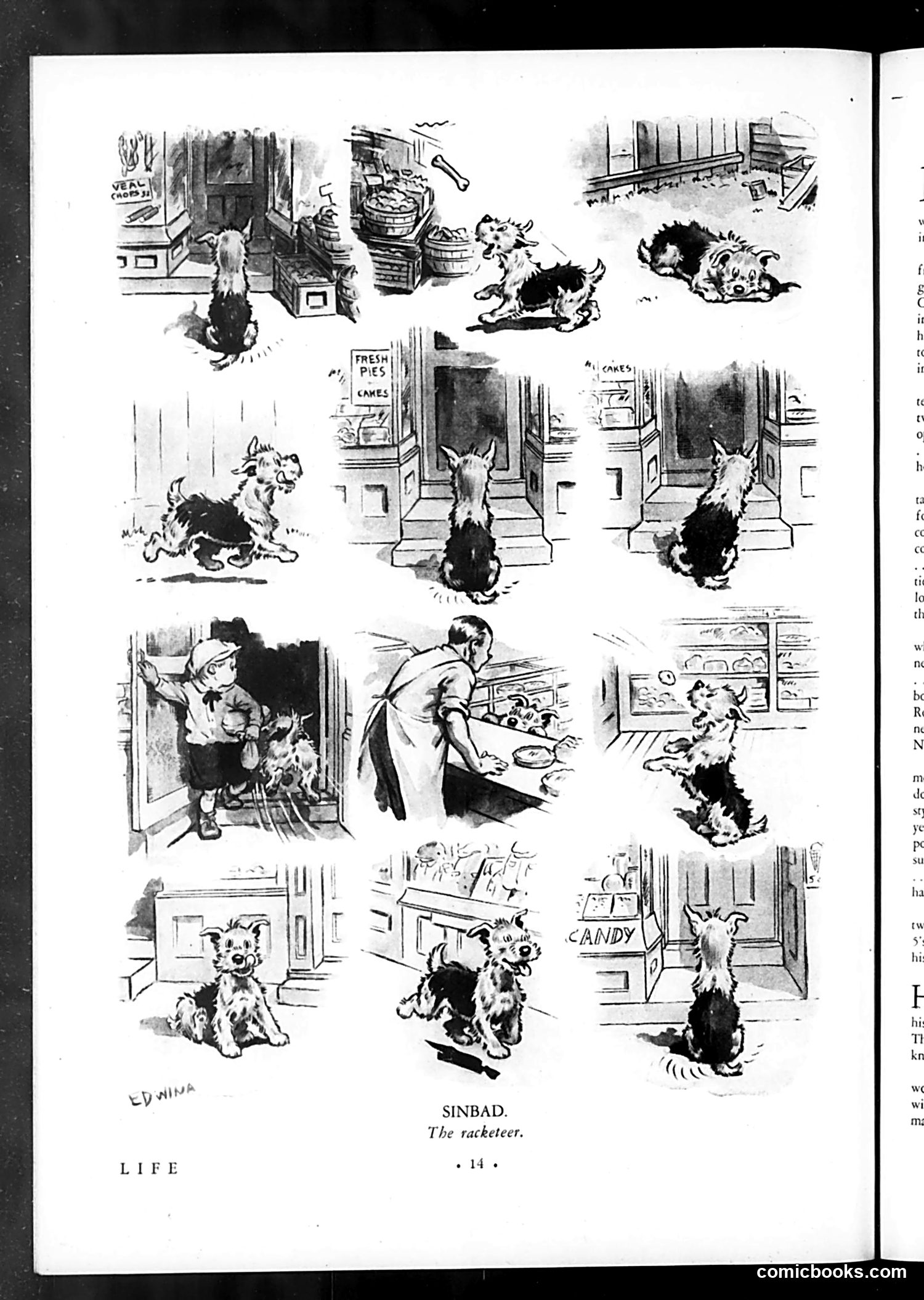 Life — August 28, 1931 — page 16 of 37