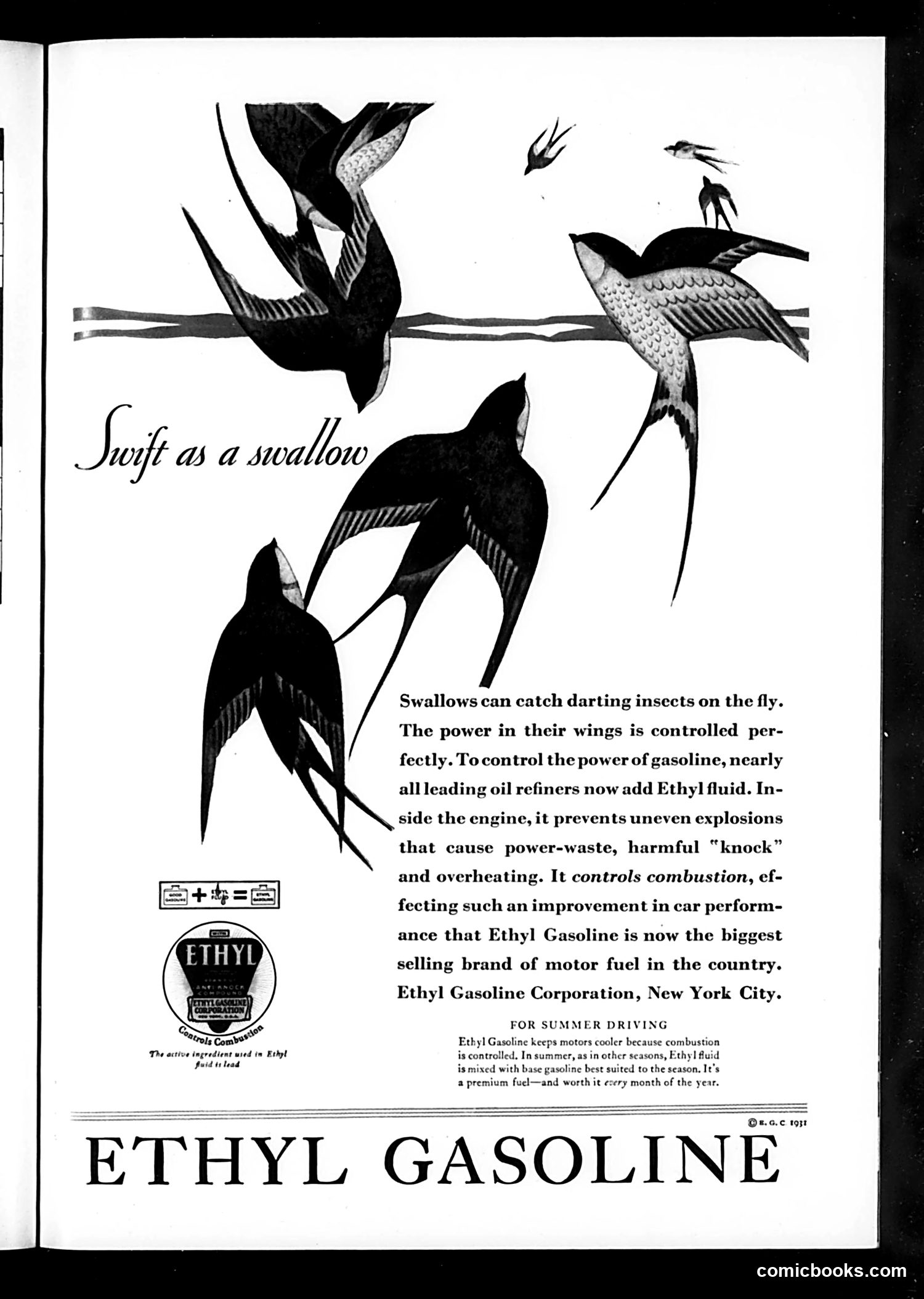 Life — August 28, 1931 — page 35 of 37