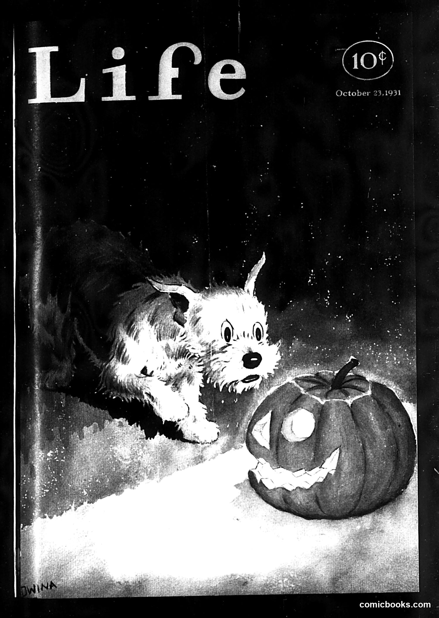 Life — October 23, 1931 — page 1 of 37