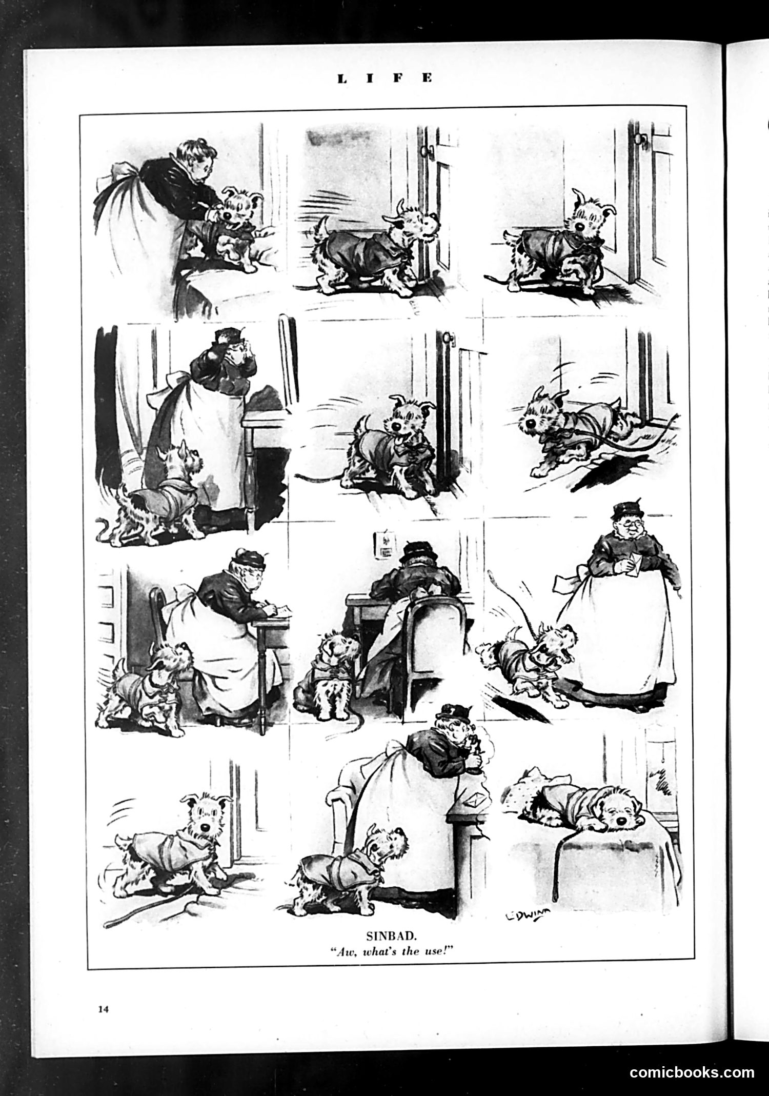 Life — November 13, 1931 — page 16 of 36