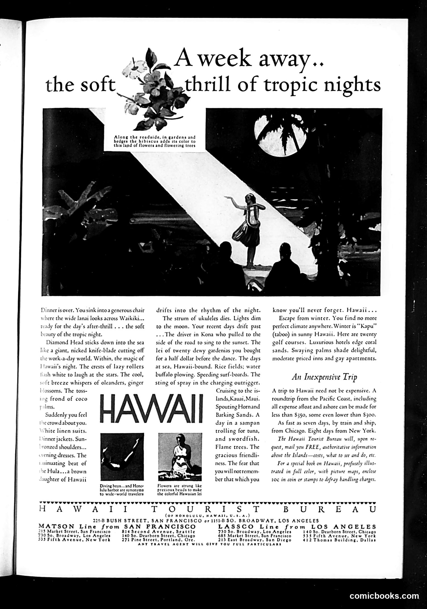 Life — December 1931 — page 53 of 73