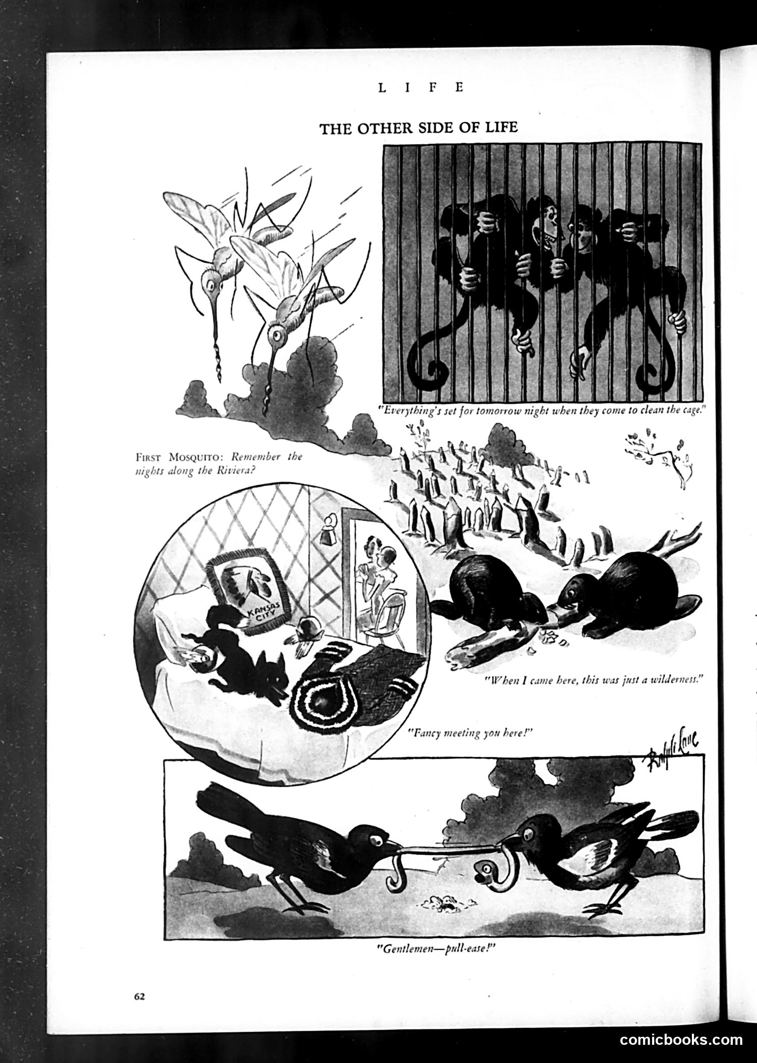 Life — June 1932 — page 64 of 68