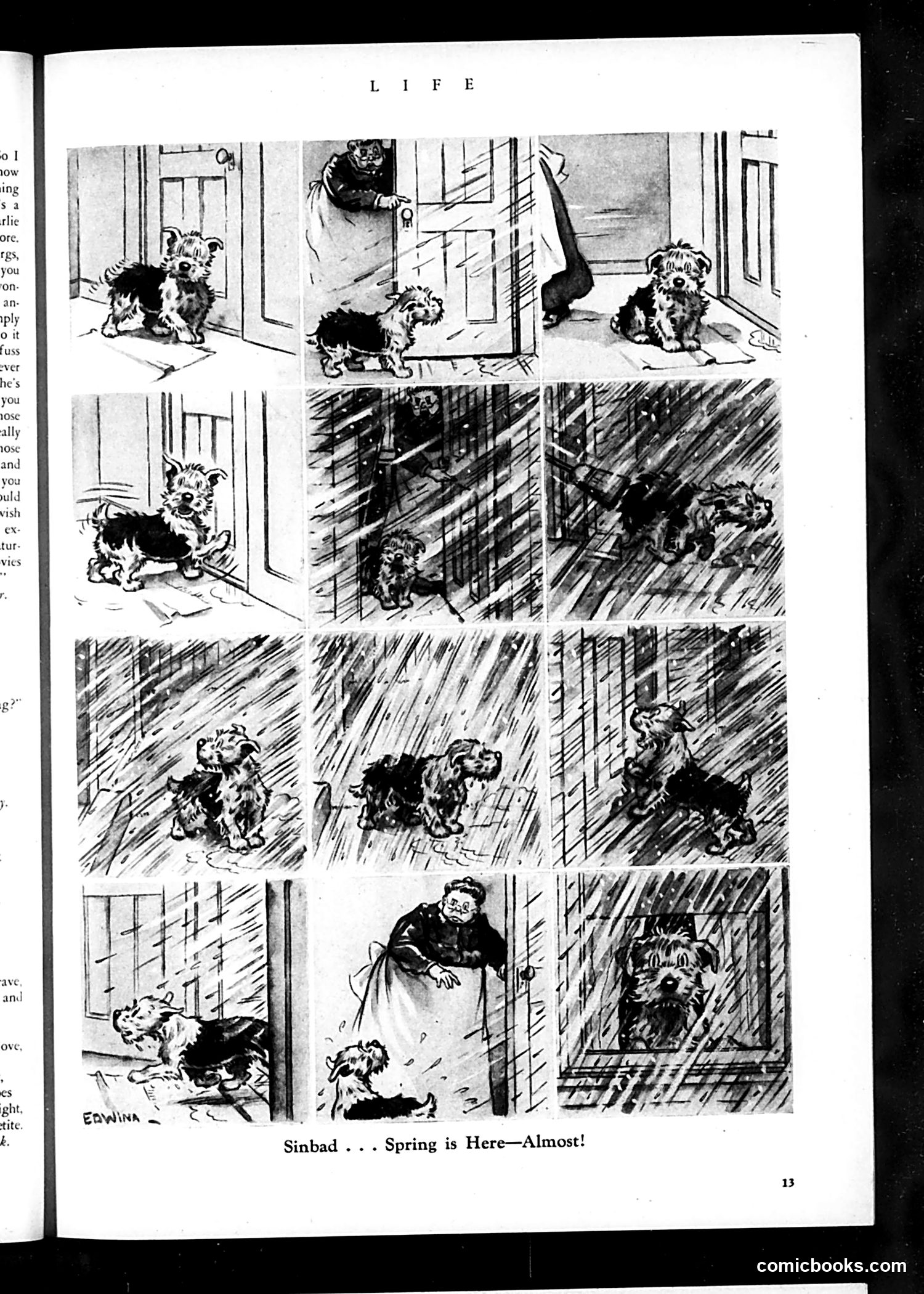 Life — March 1933 — page 15 of 50