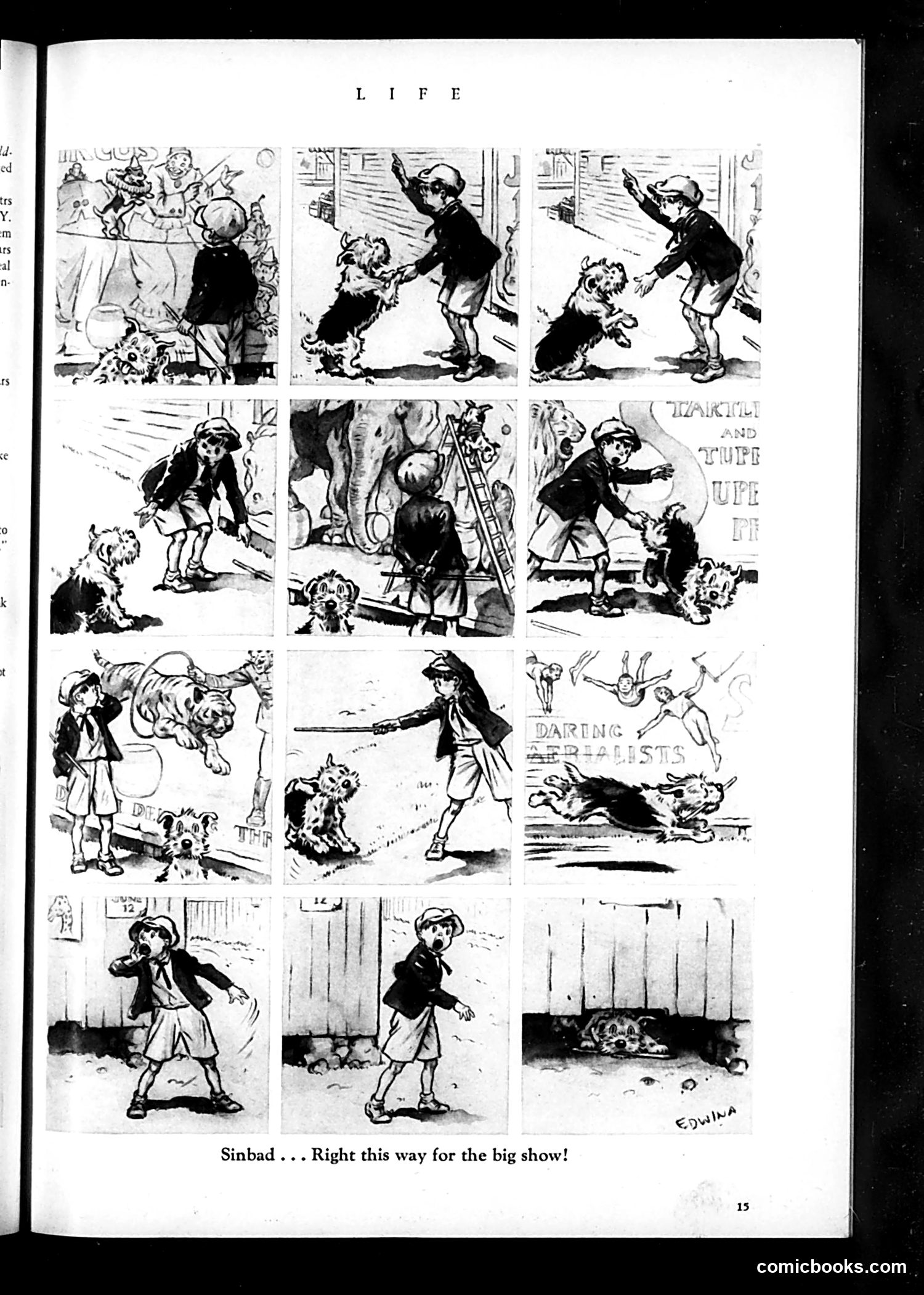 Life — June 1933 — page 17 of 50