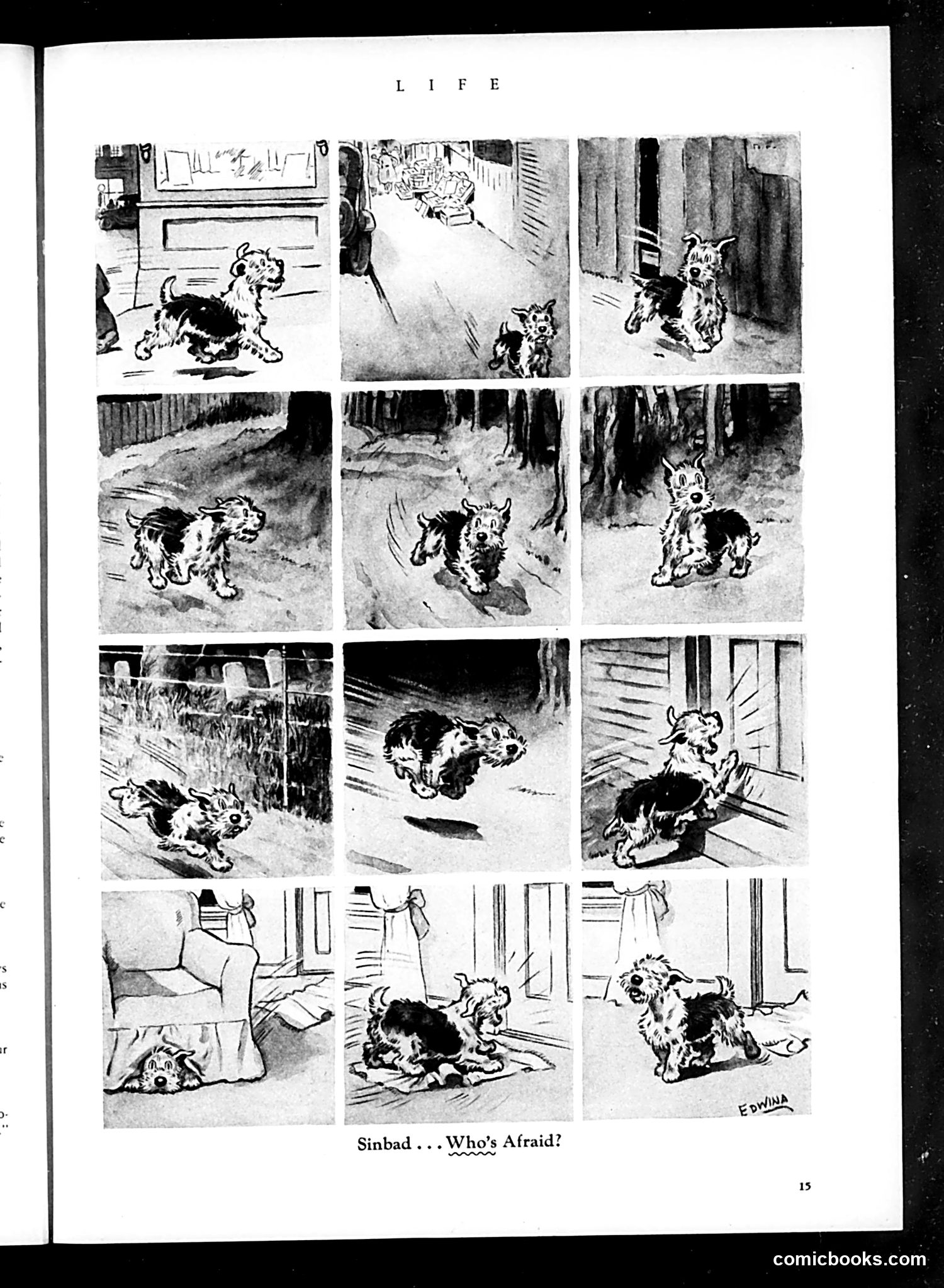 Life — January 1934 — page 17 of 50