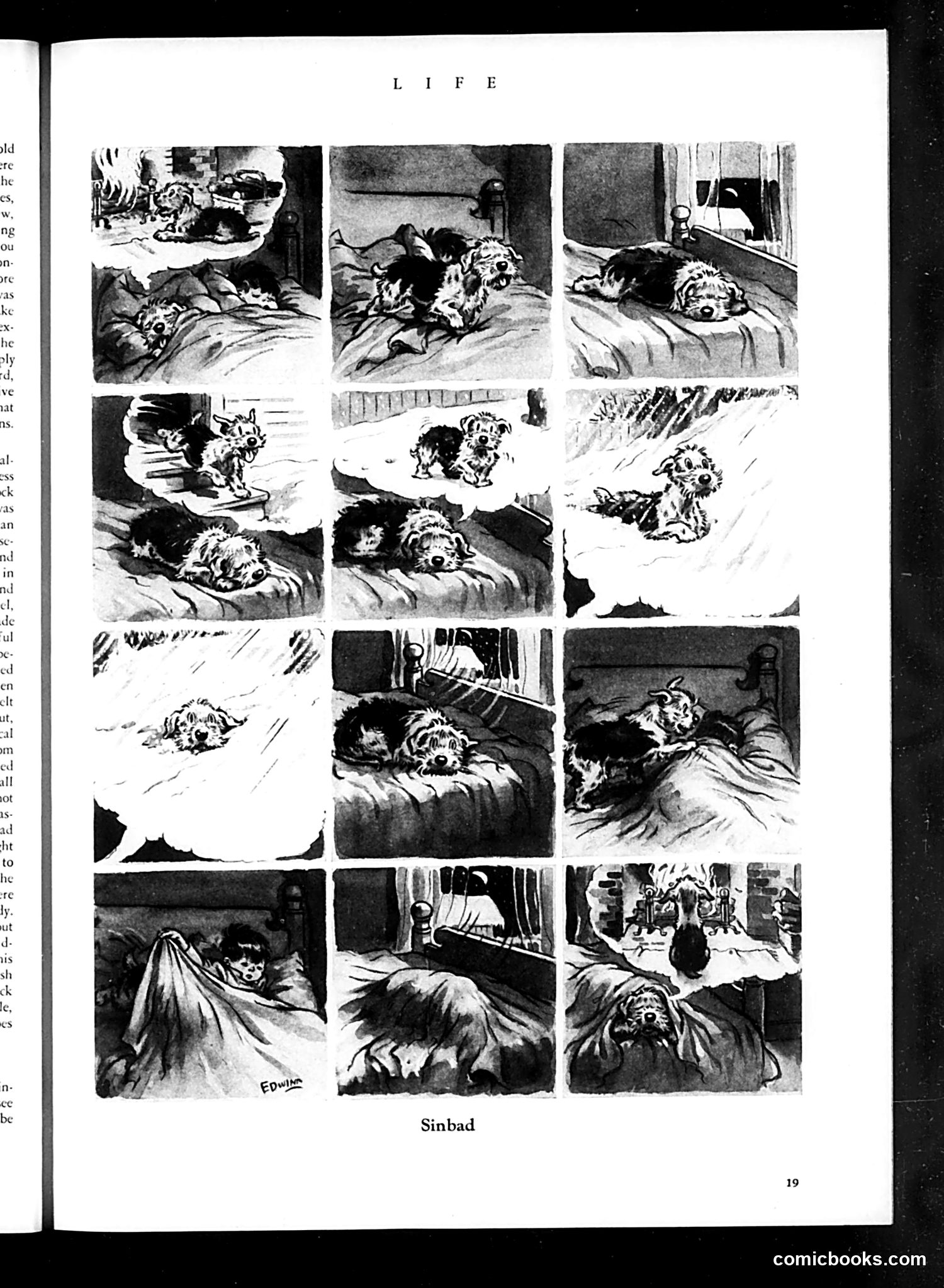 Life — February 1934 — page 21 of 52