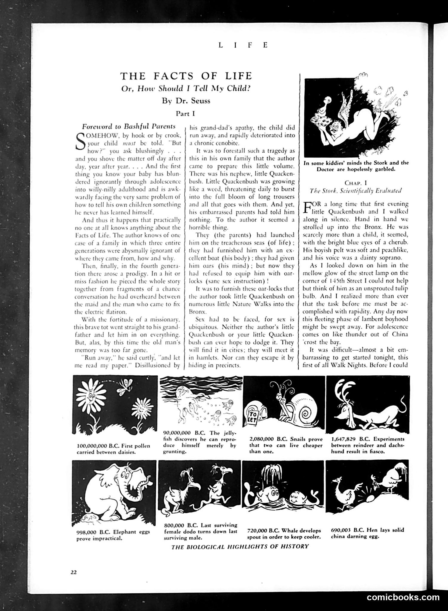 Life — February 1934 — page 24 of 52
