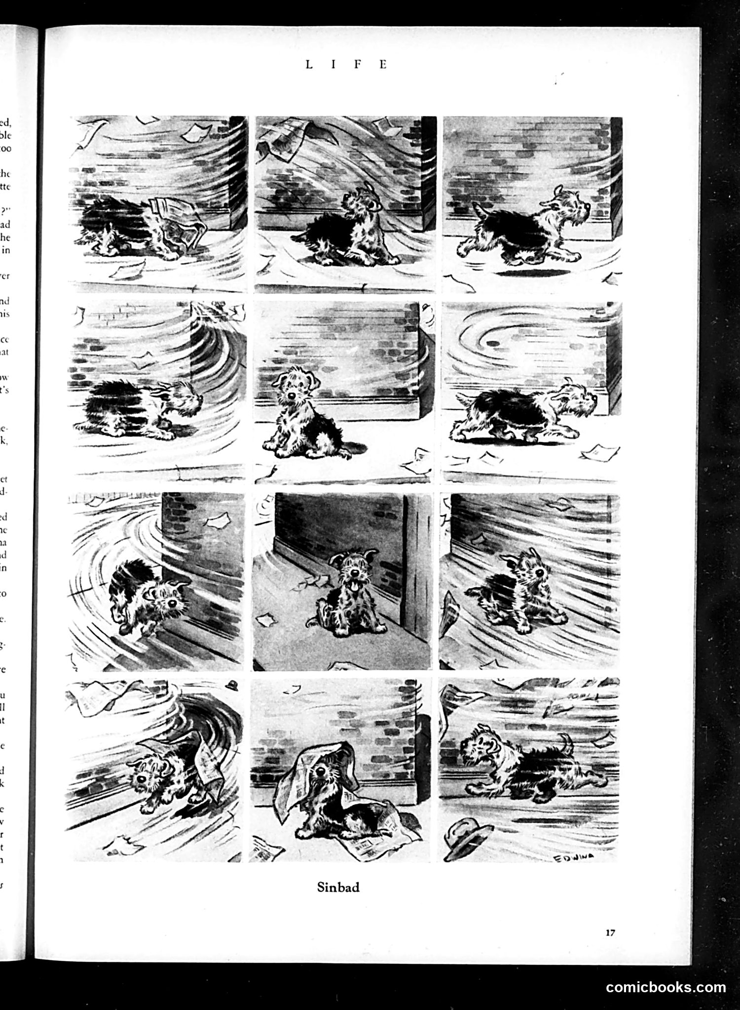 Life — March 1934 — page 19 of 50