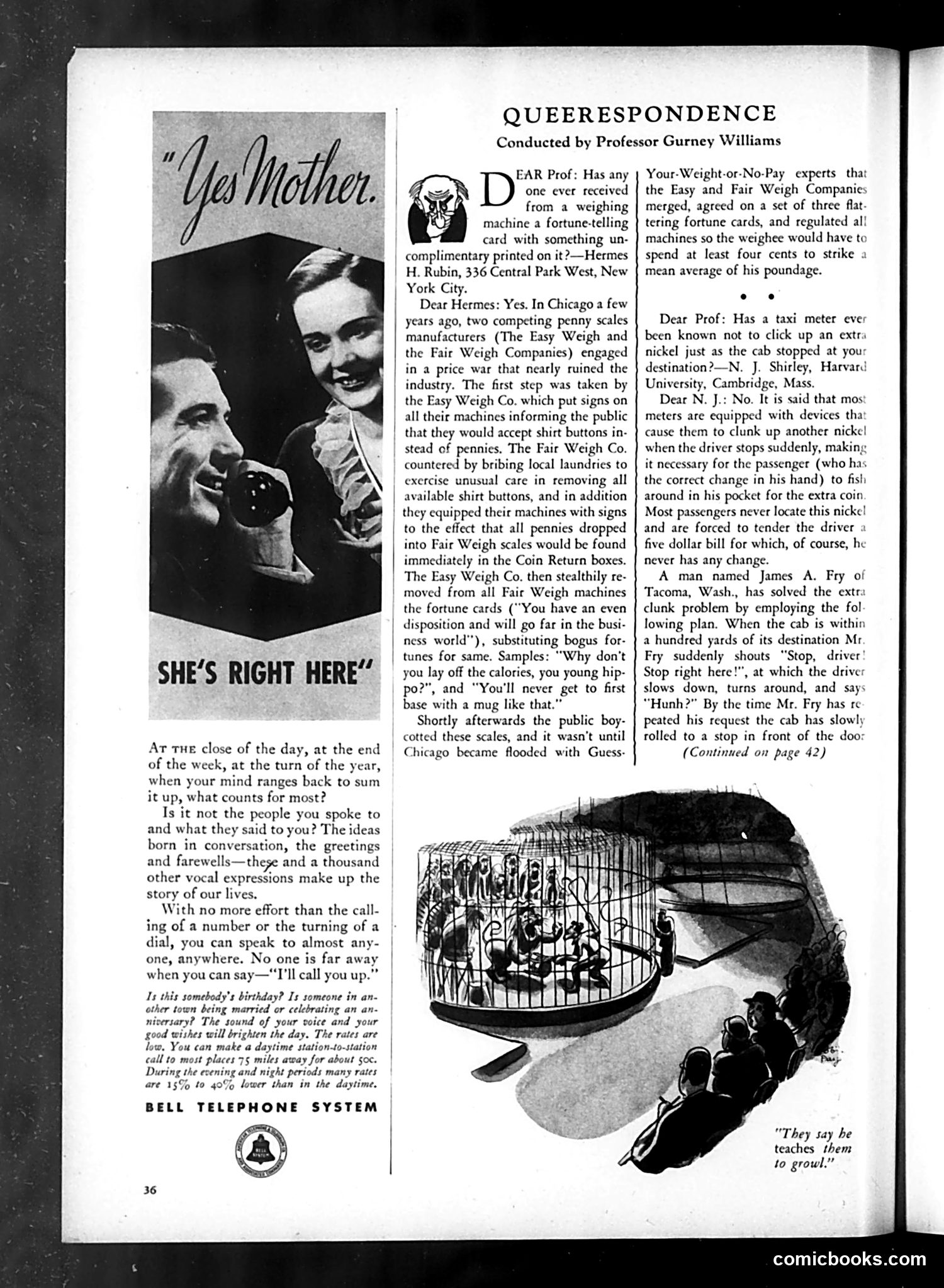 Life — April 1934 — page 40 of 58