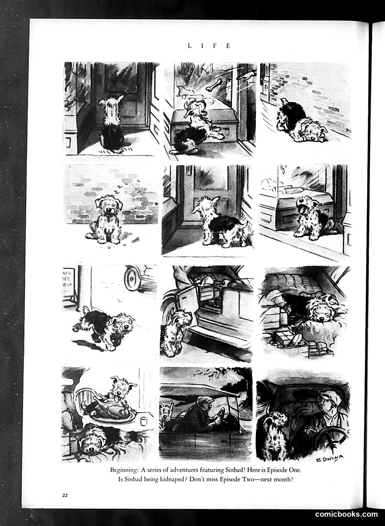 Life — May 1934 — page 26 of 54