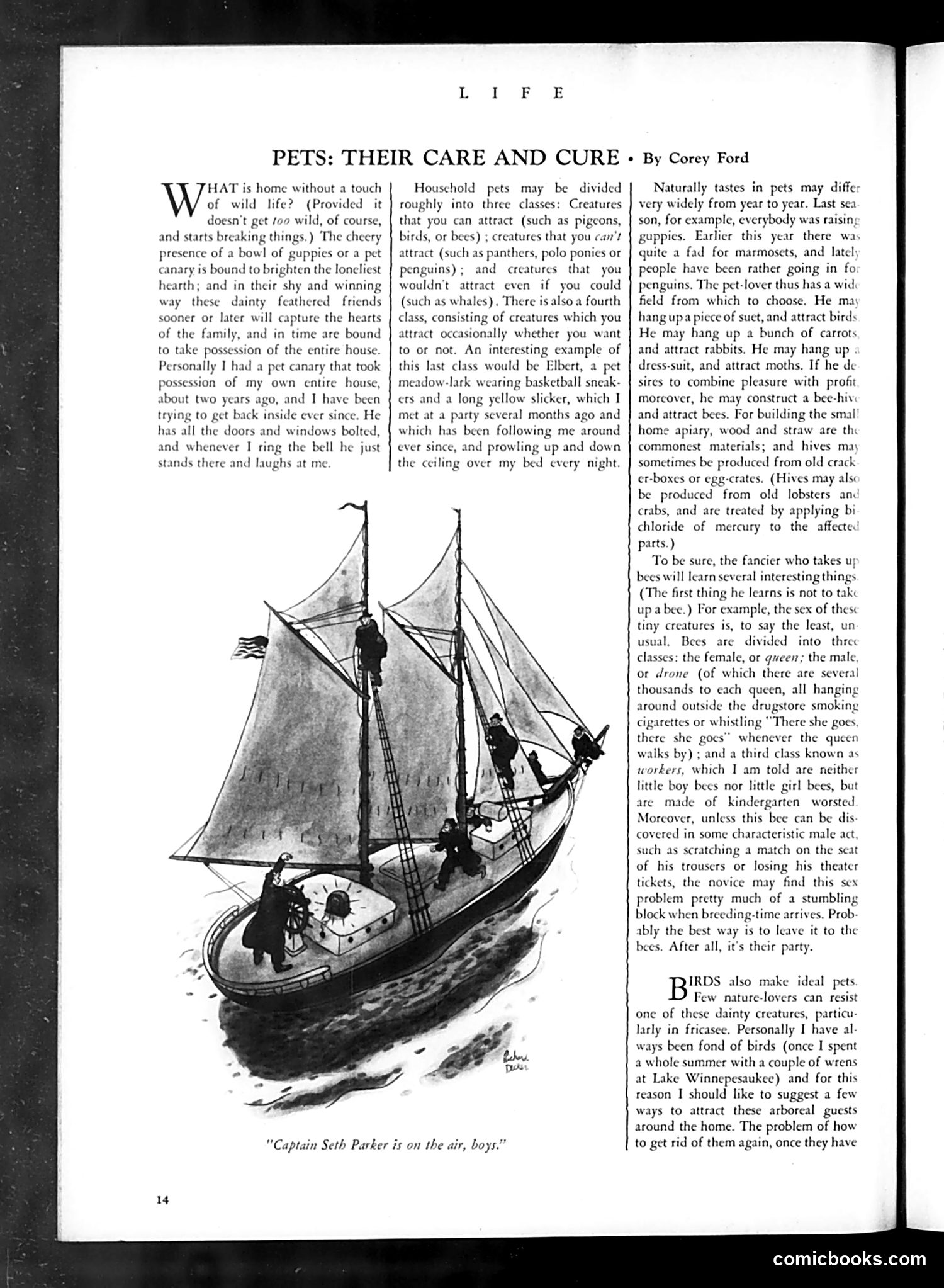 Life — June 1934 — page 18 of 52