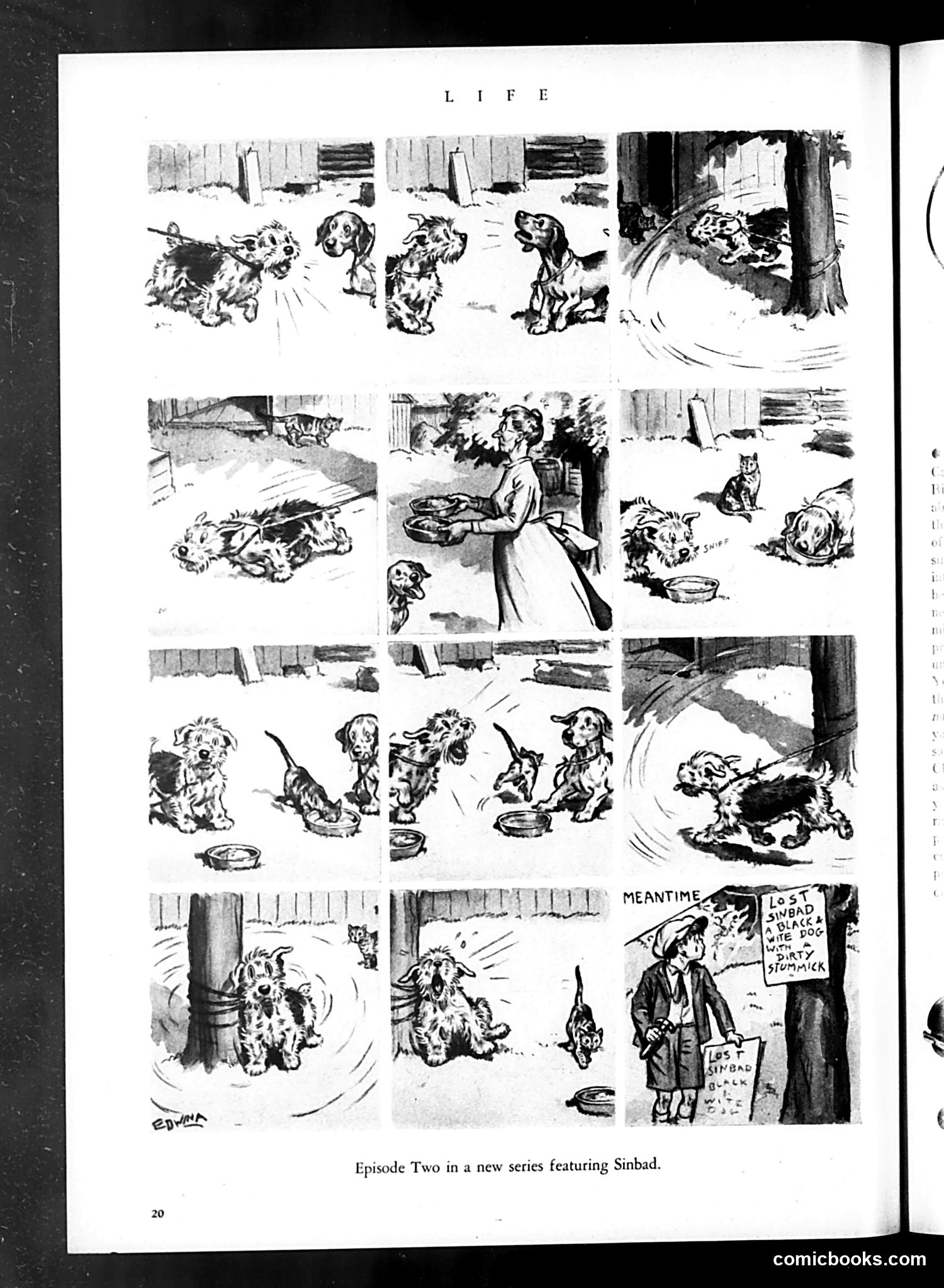 Life — June 1934 — page 24 of 52