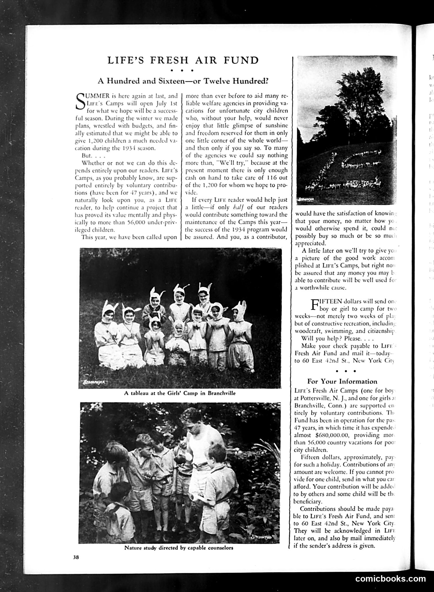 Life — June 1934 — page 42 of 52