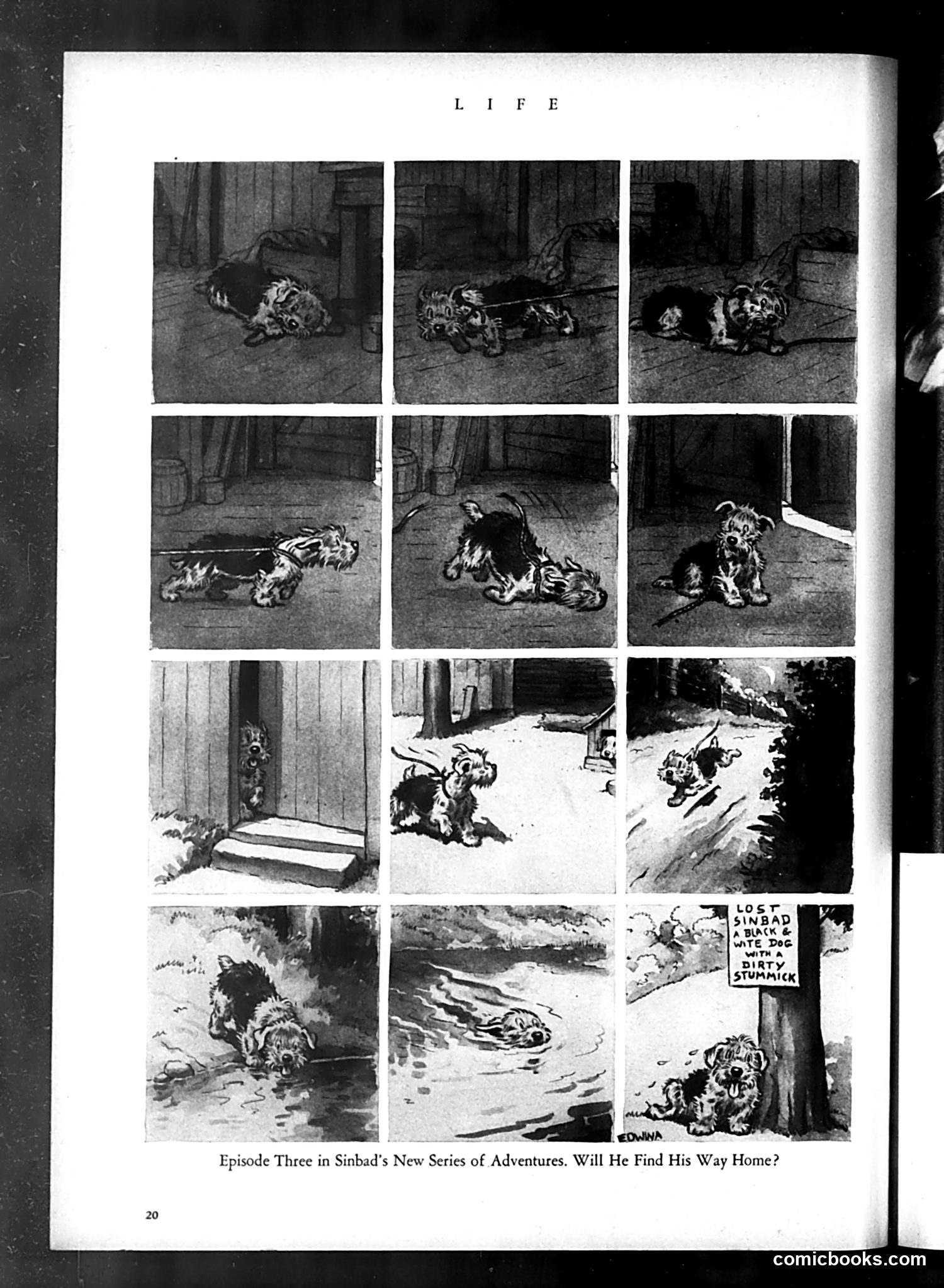 Life — July 1934 — page 22 of 50