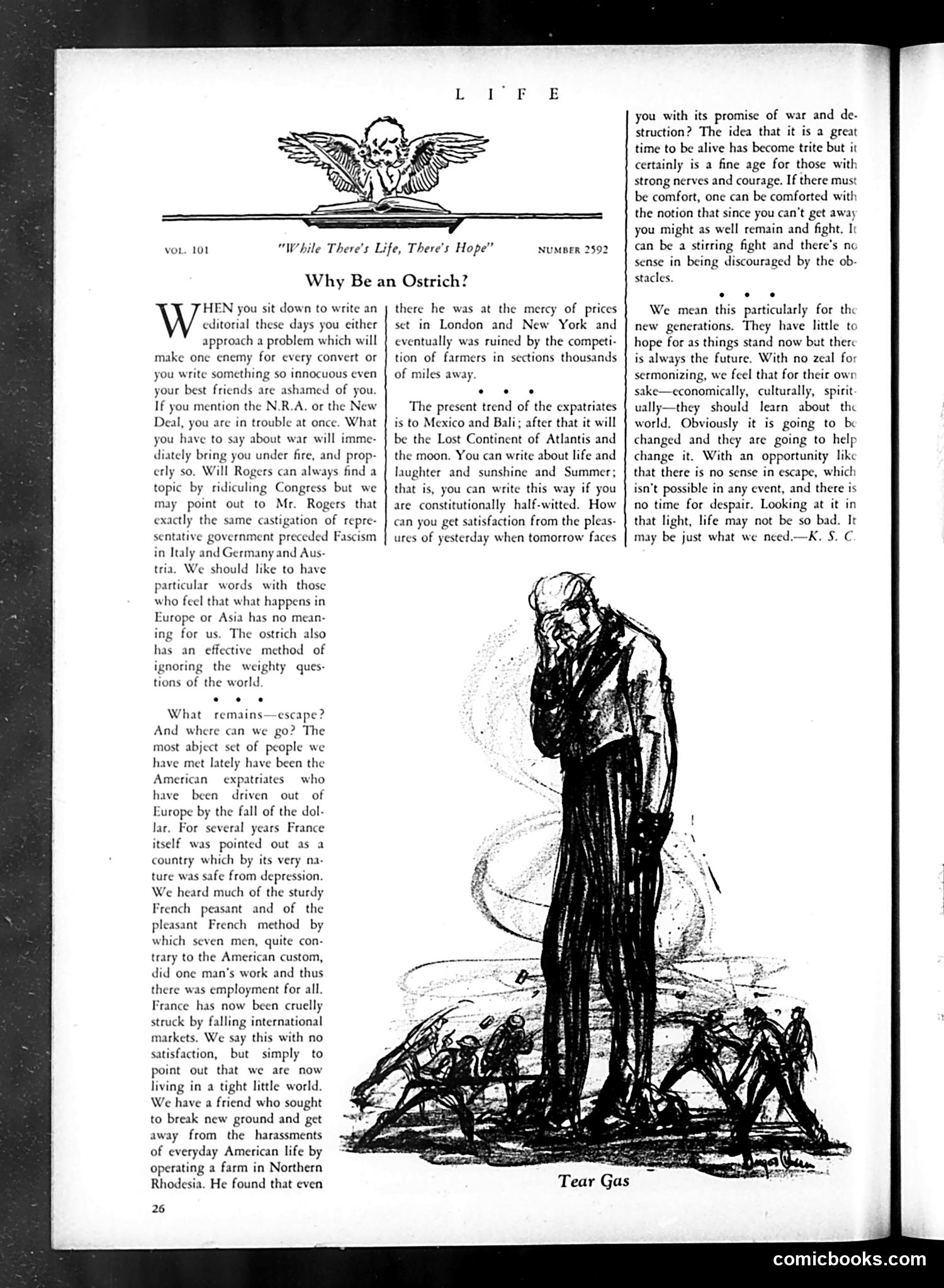 Life — July 1934 — page 28 of 50