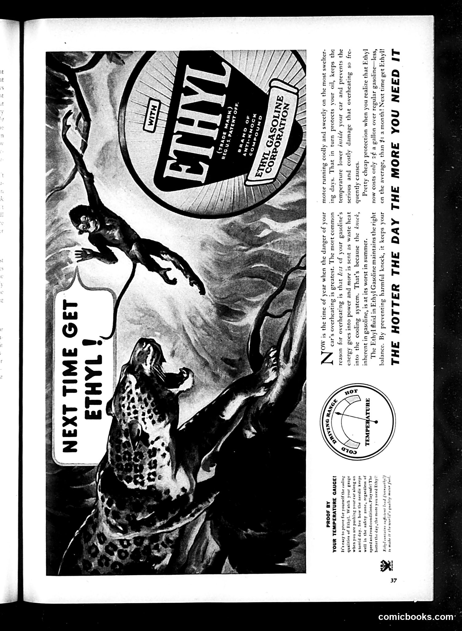 Life — August 1934 — page 39 of 50