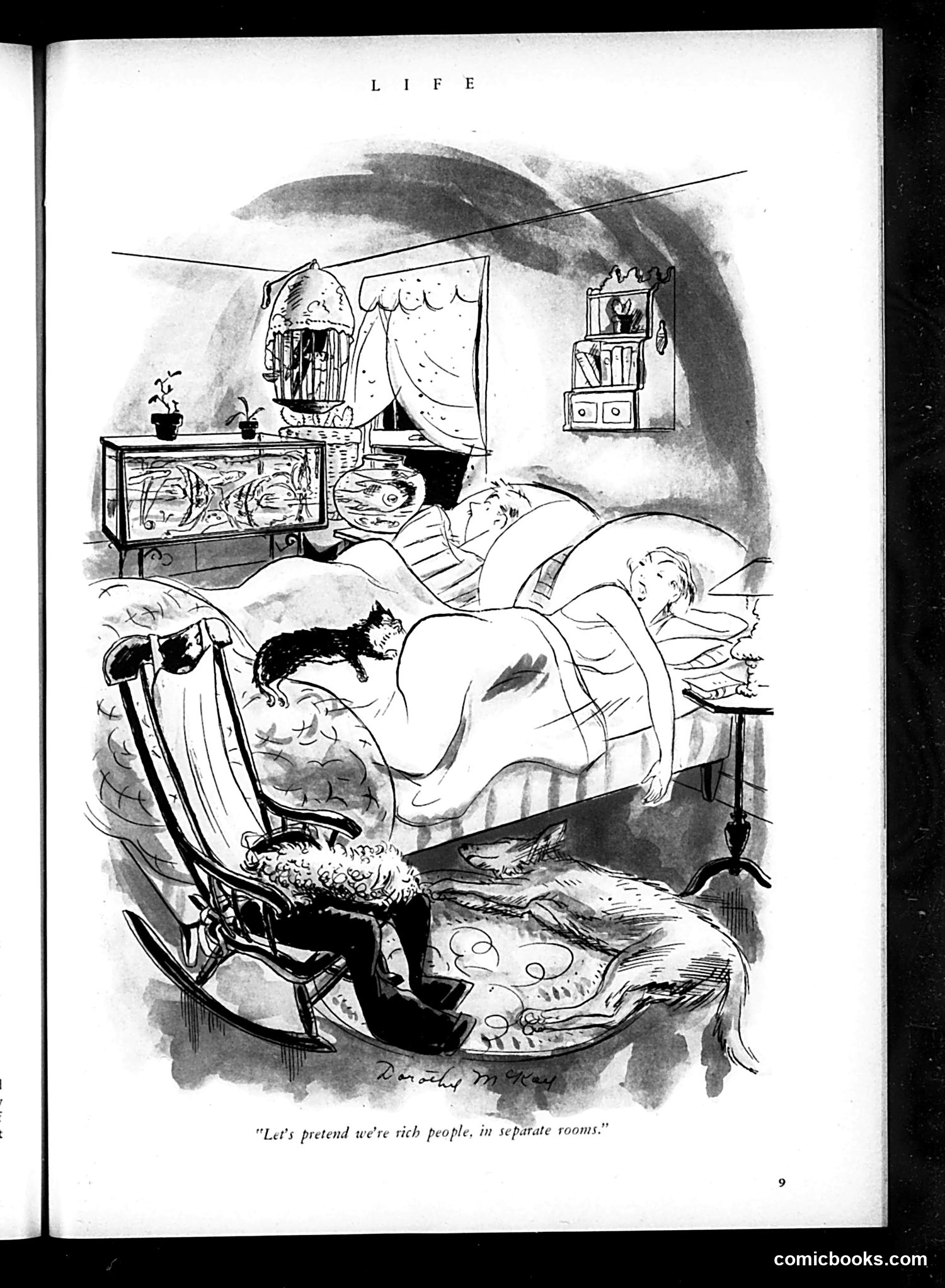Life — November 1934 — page 11 of 54