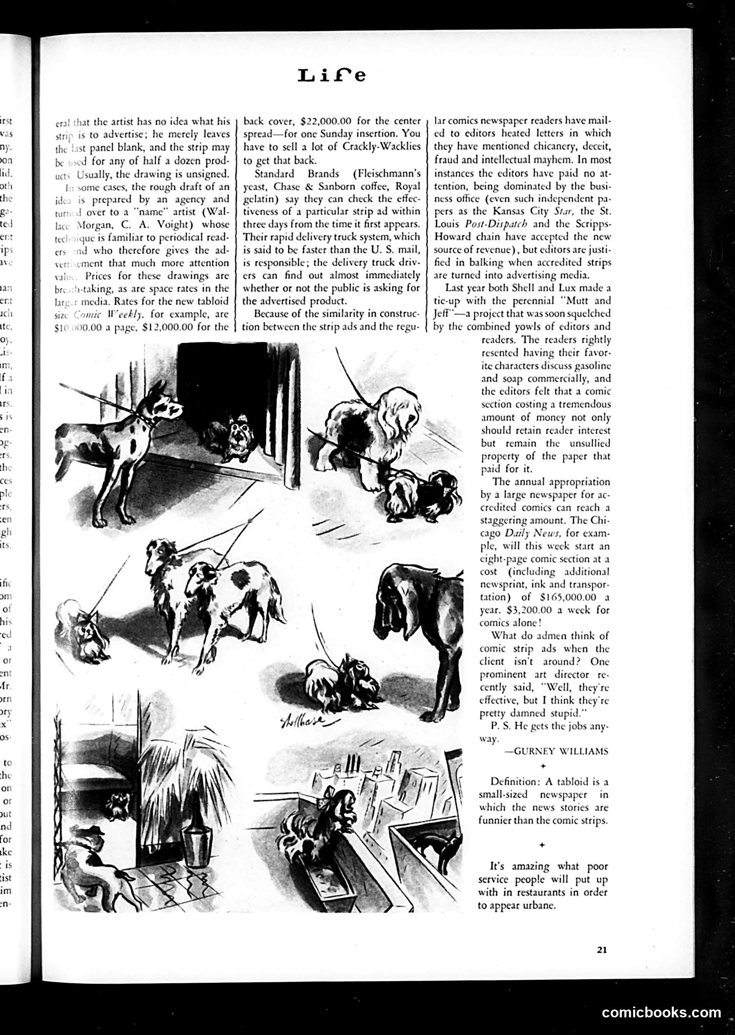 Life — March 1935 — page 23 of 54