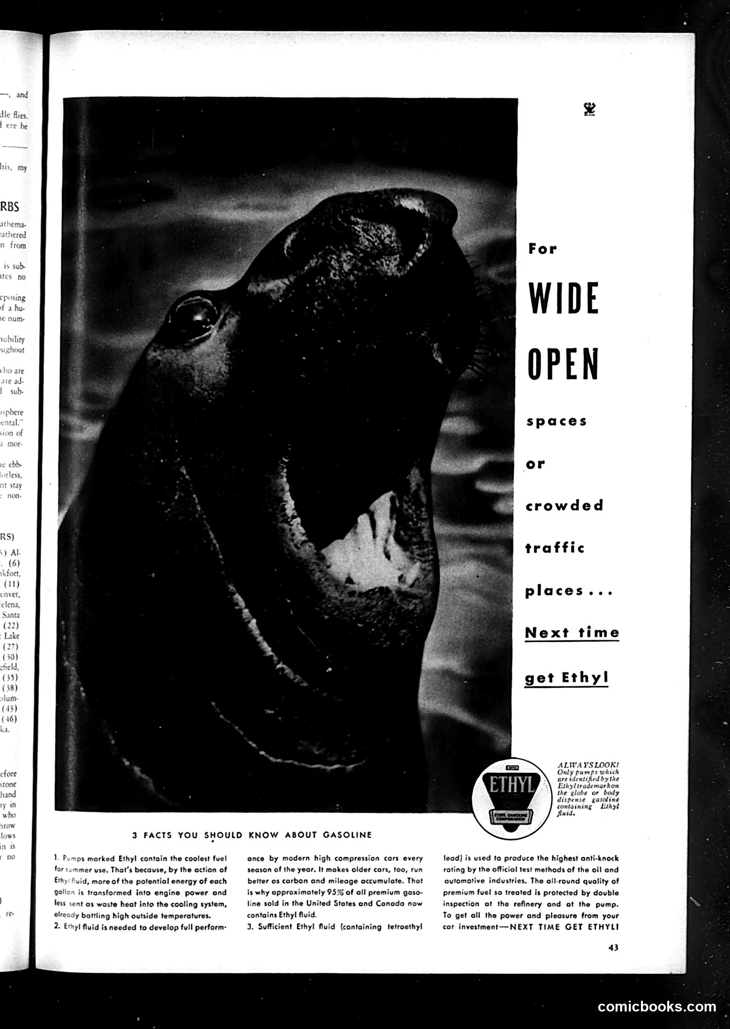 Life — June 1935 — page 45 of 54