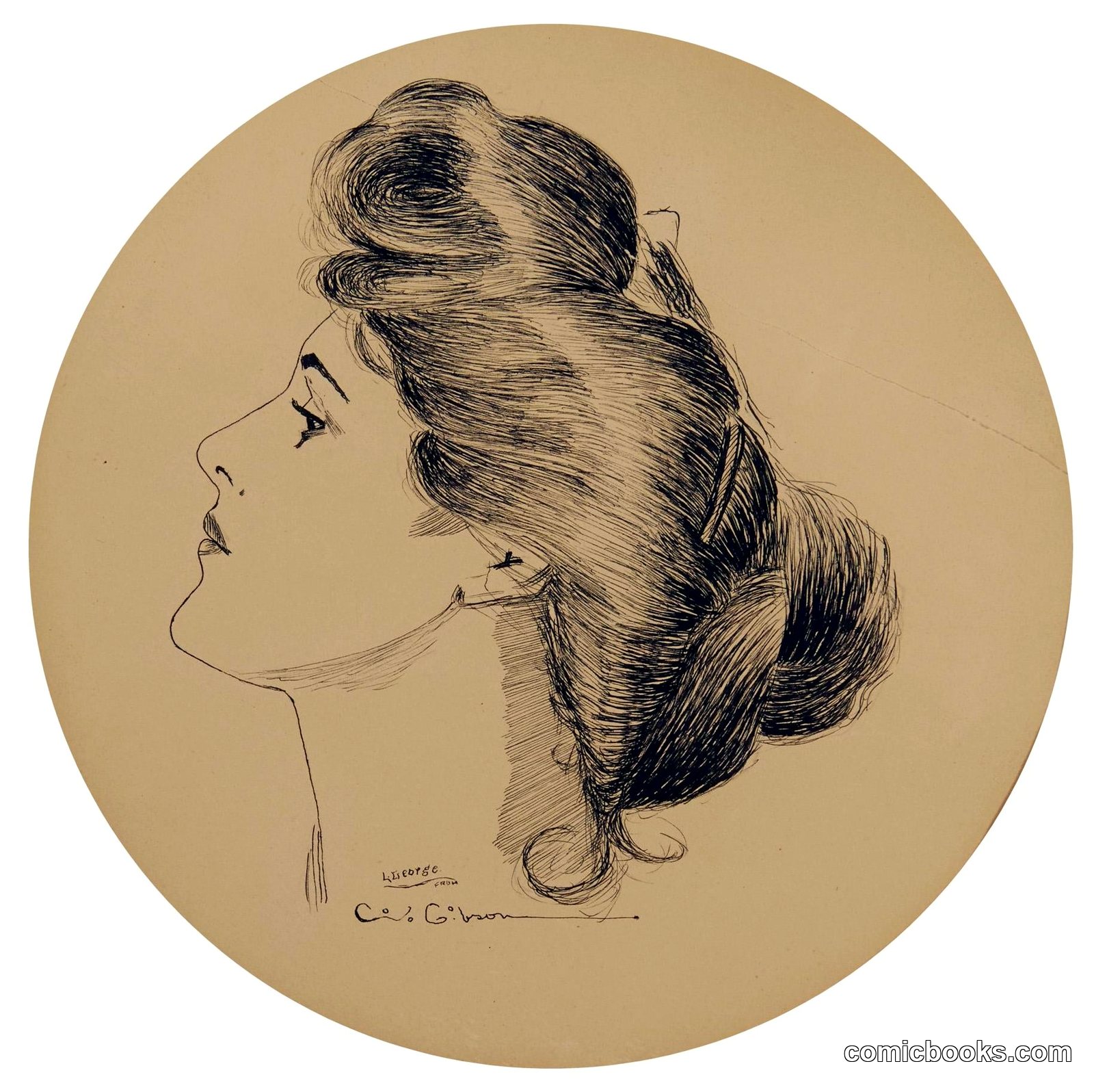 Gibson Girl, Profile