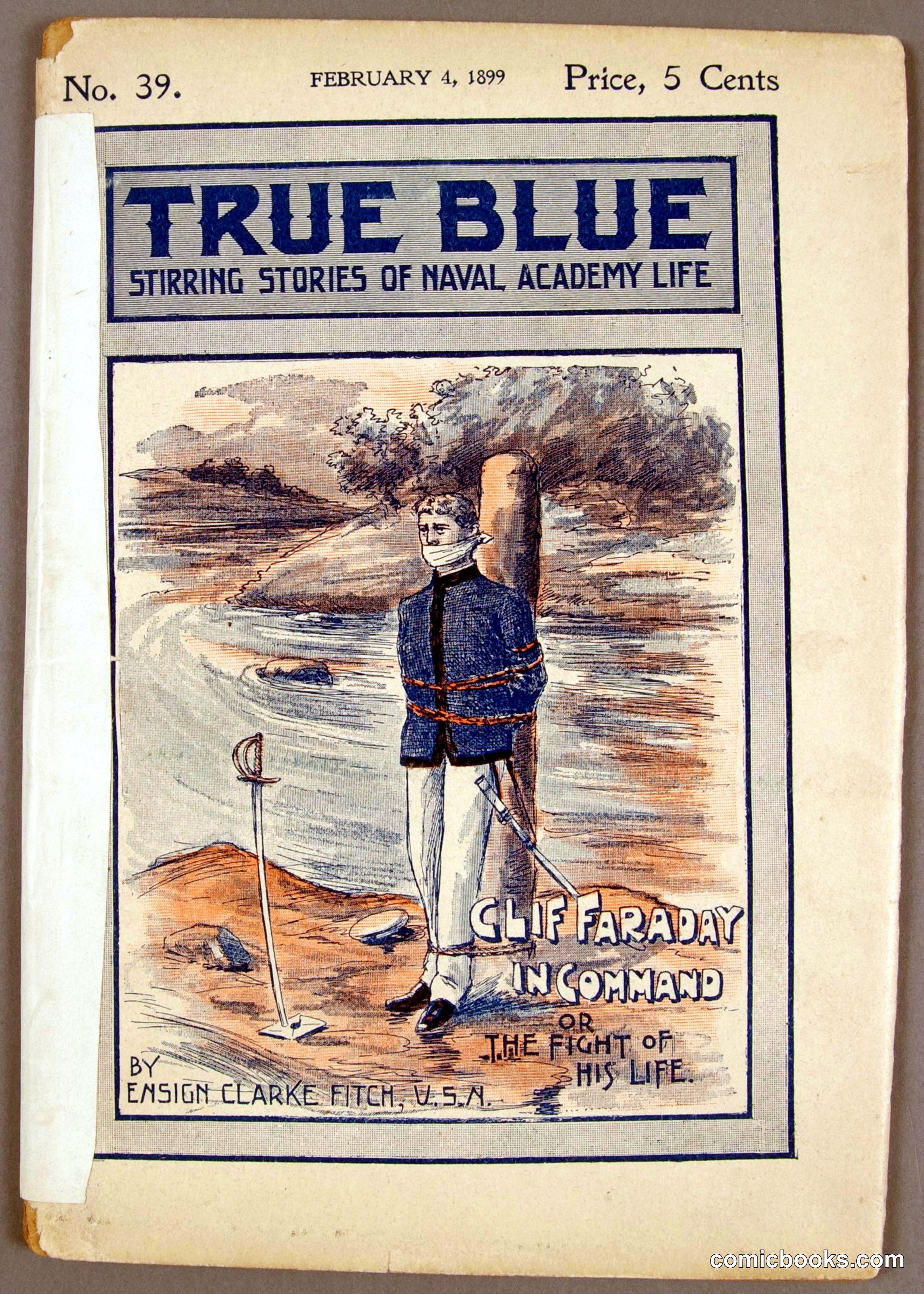True Blue: Stirring Stories of Naval Academy Life