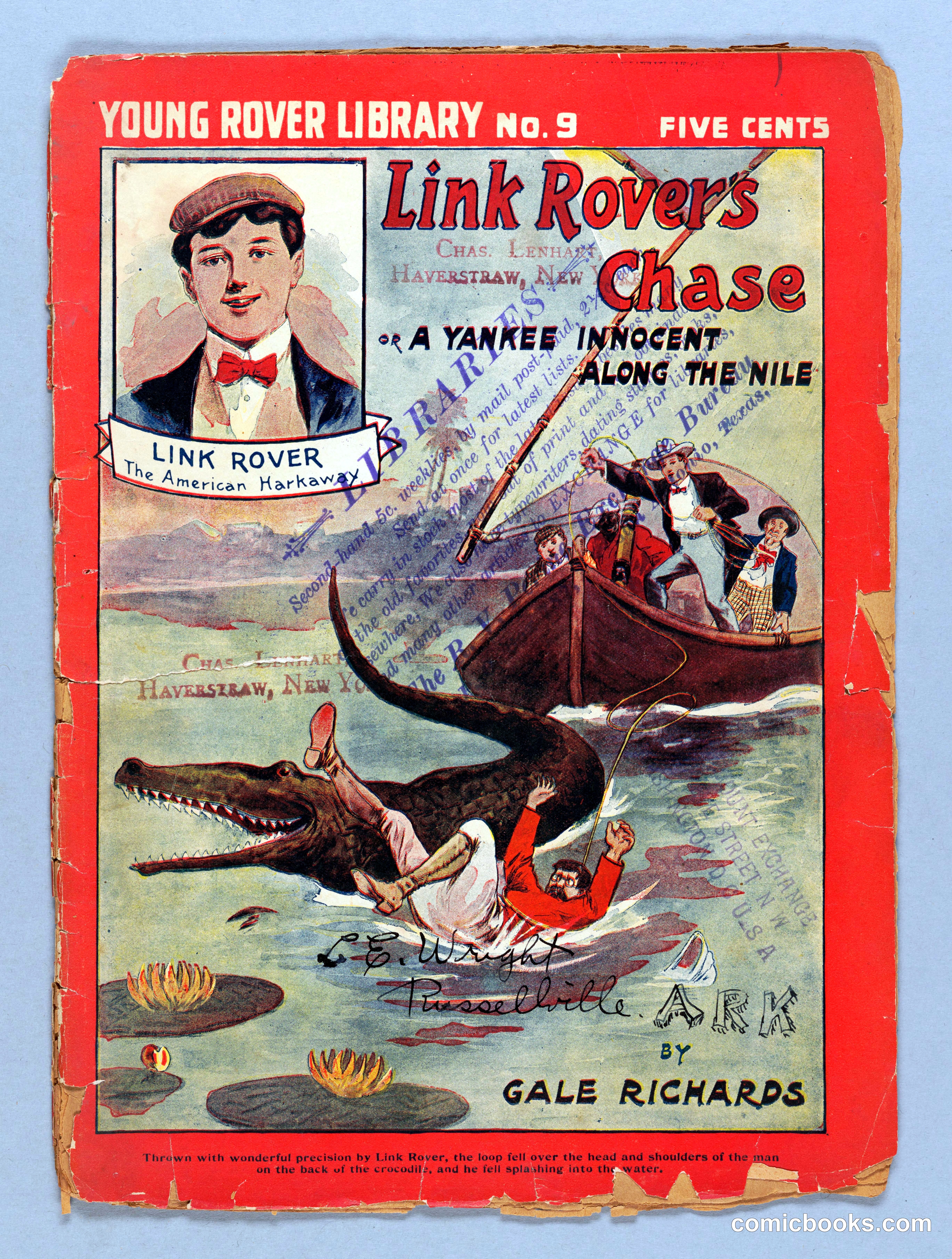 Link Rover's Chase: A Yankee Innocent Along the Nile