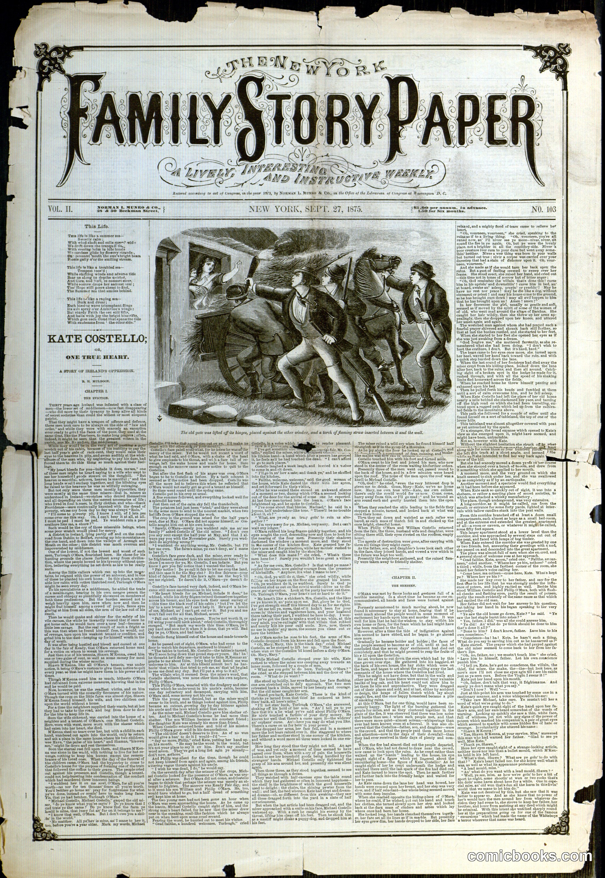 The New York Family Story Paper