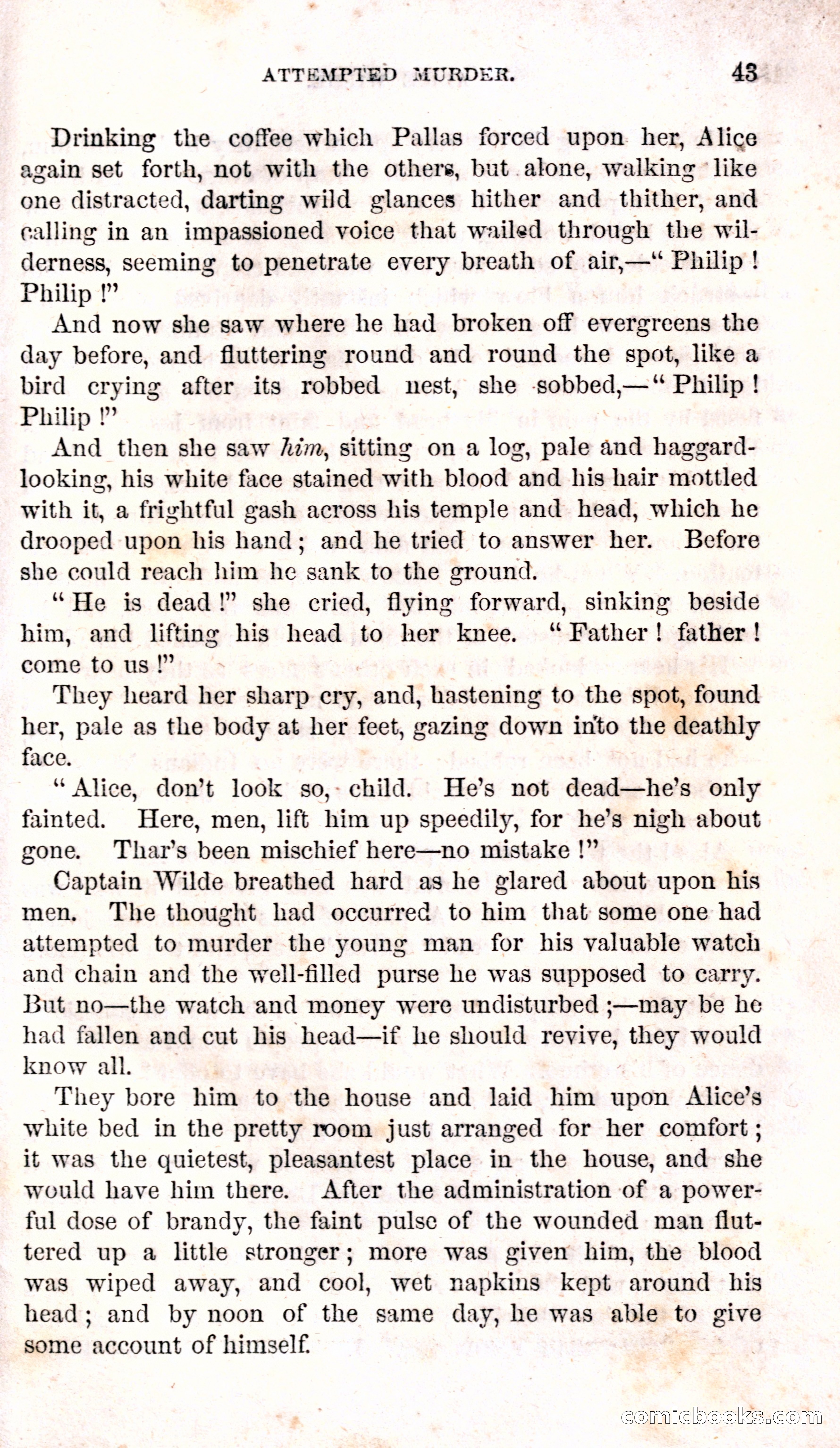 Alice Wilde: The Raftsman's Daughter — page 47 of 135