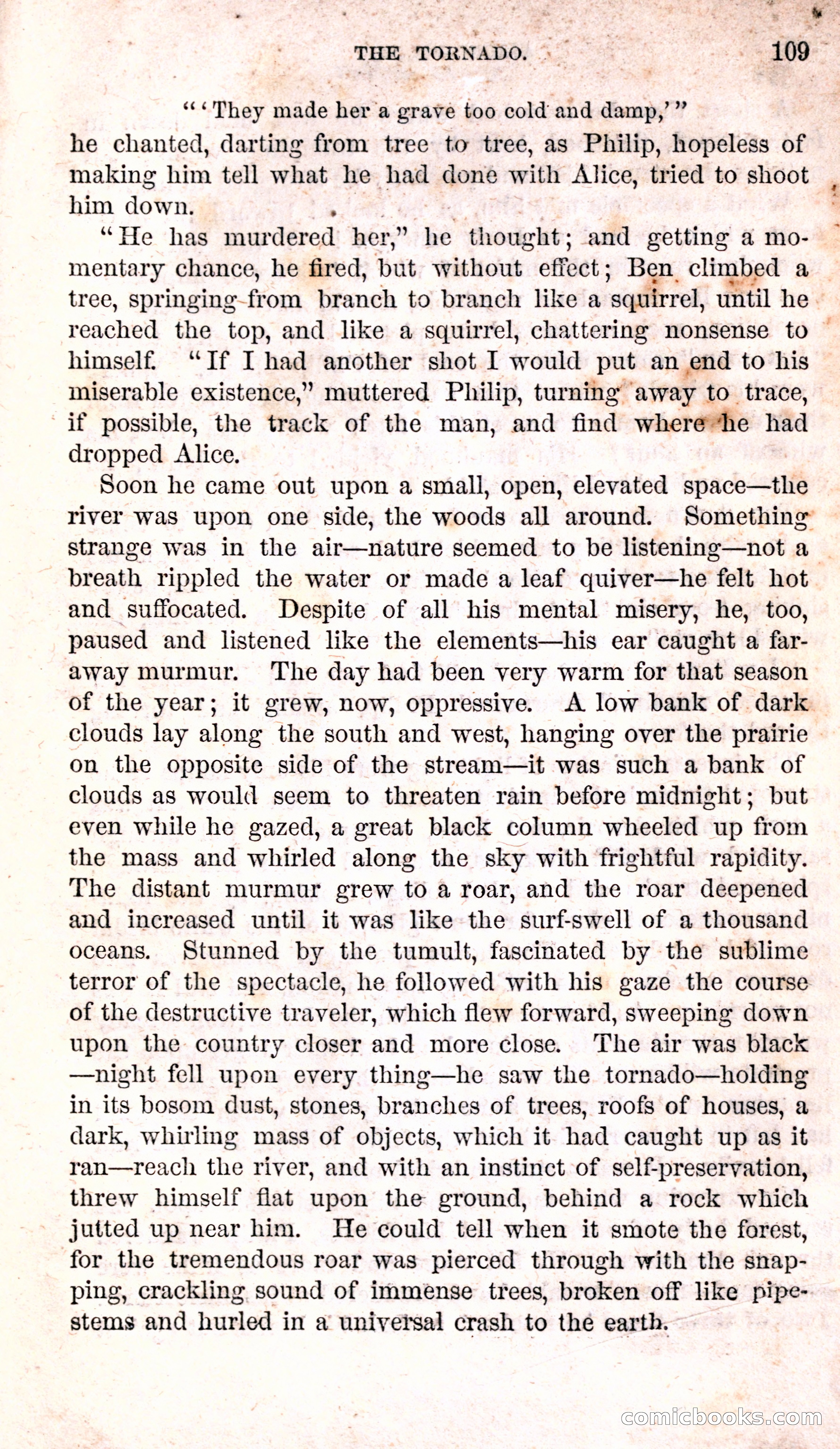 Alice Wilde: The Raftsman's Daughter — page 113 of 135