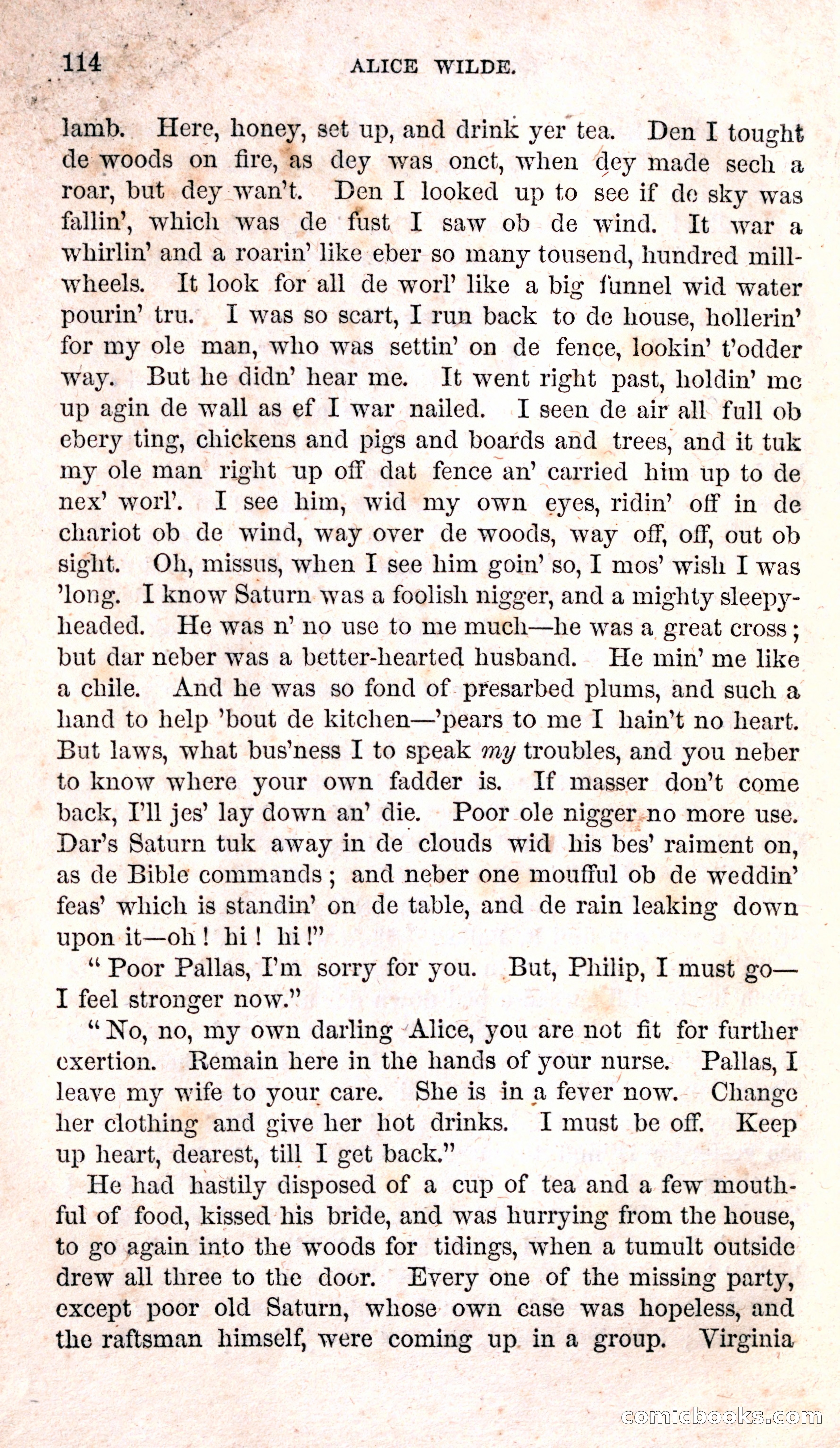 Alice Wilde: The Raftsman's Daughter — page 118 of 135