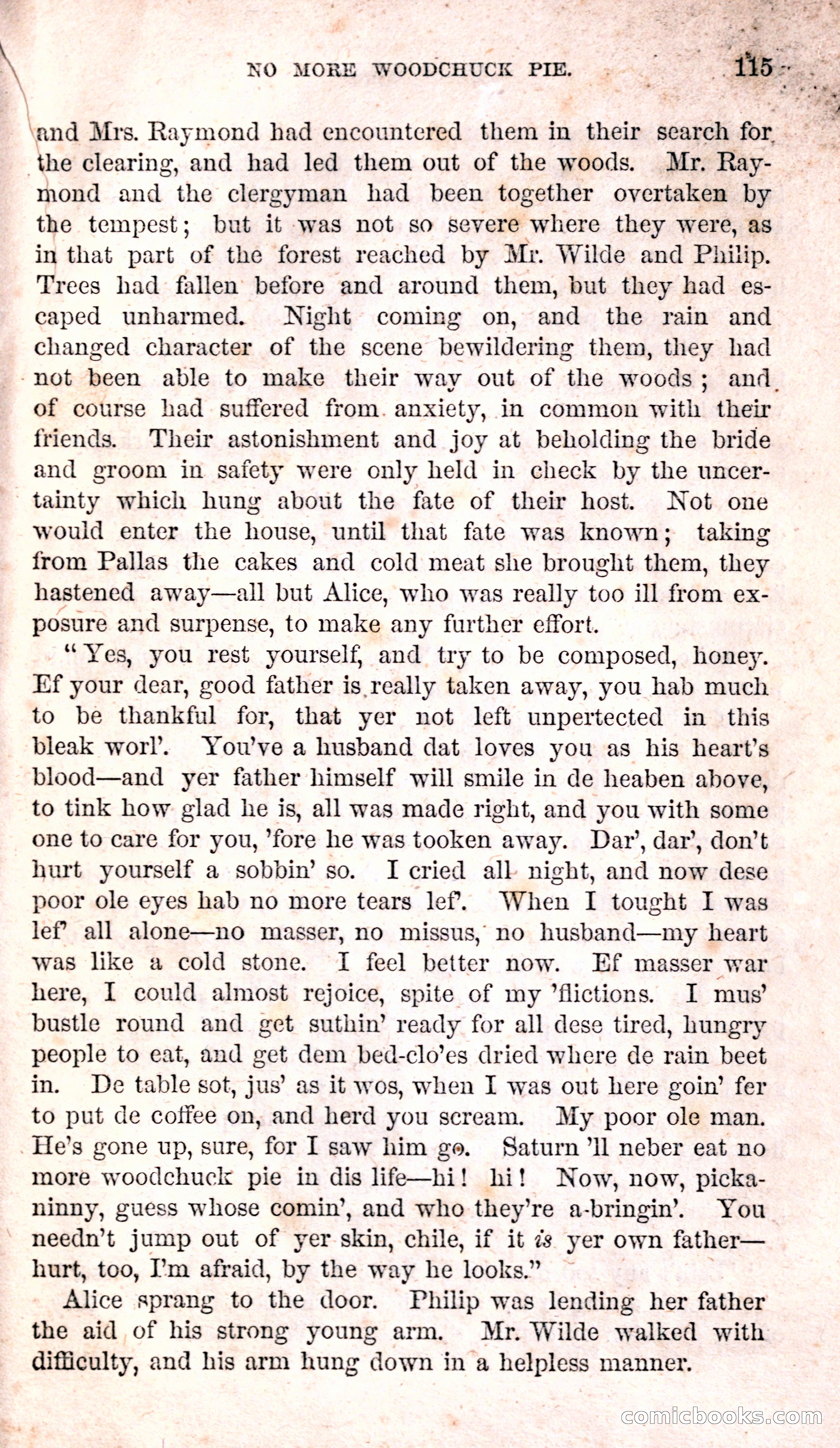 Alice Wilde: The Raftsman's Daughter — page 119 of 135
