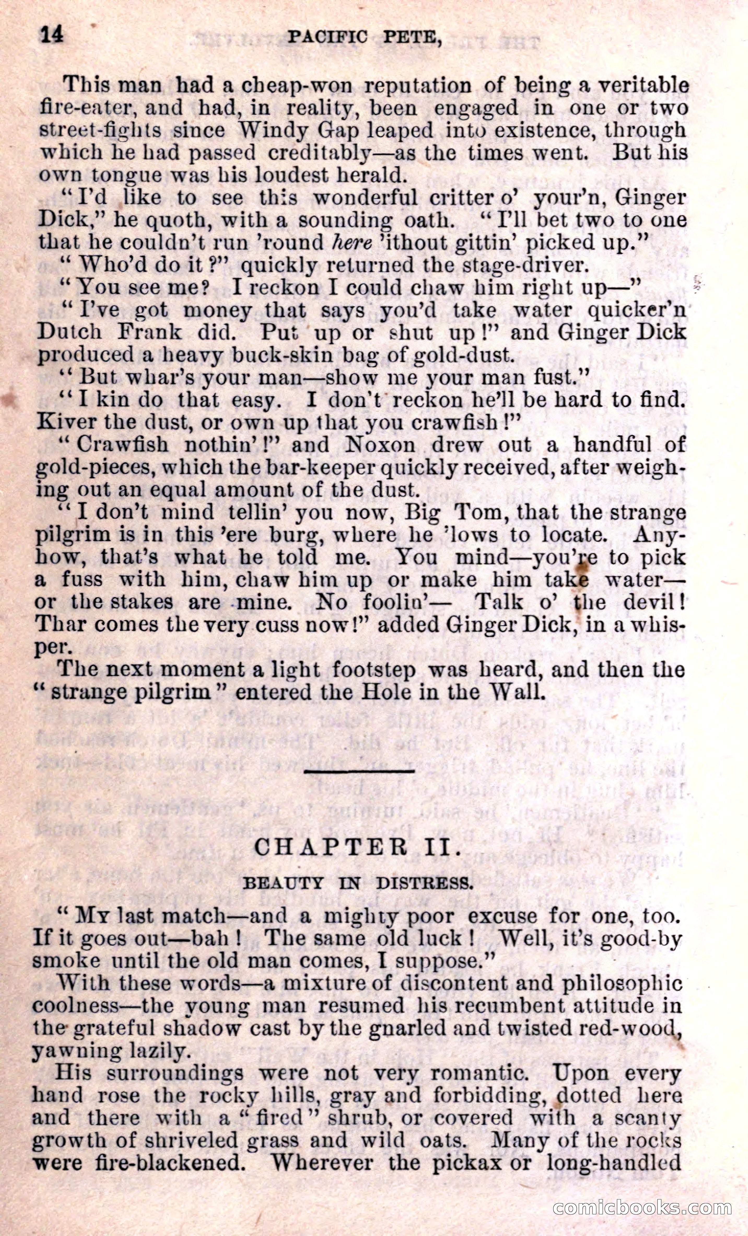 Beadle's Dime Library — page 14 of 15