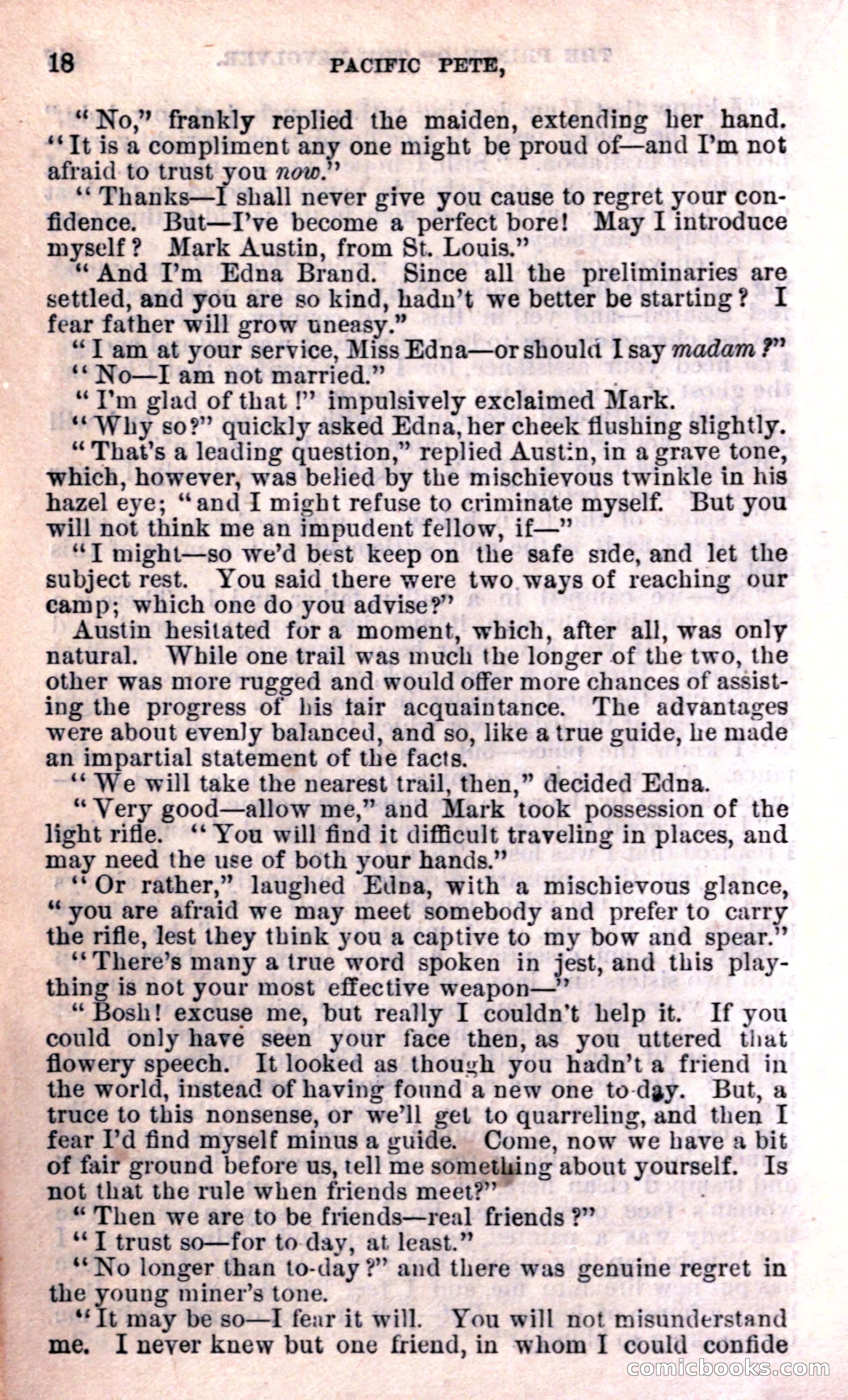 Beadle's Dime Library — page 18 of 15