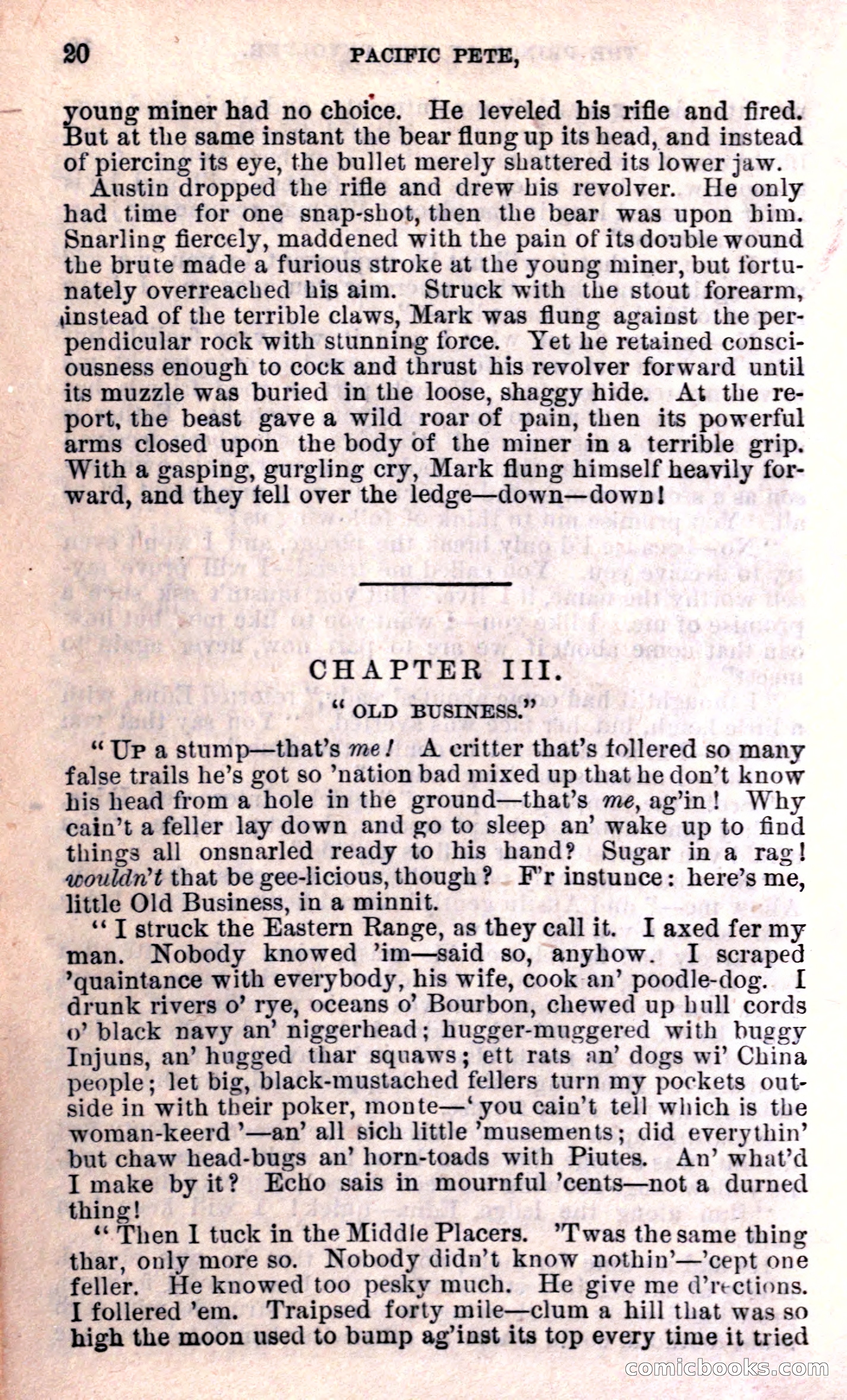 Beadle's Dime Library — page 20 of 15