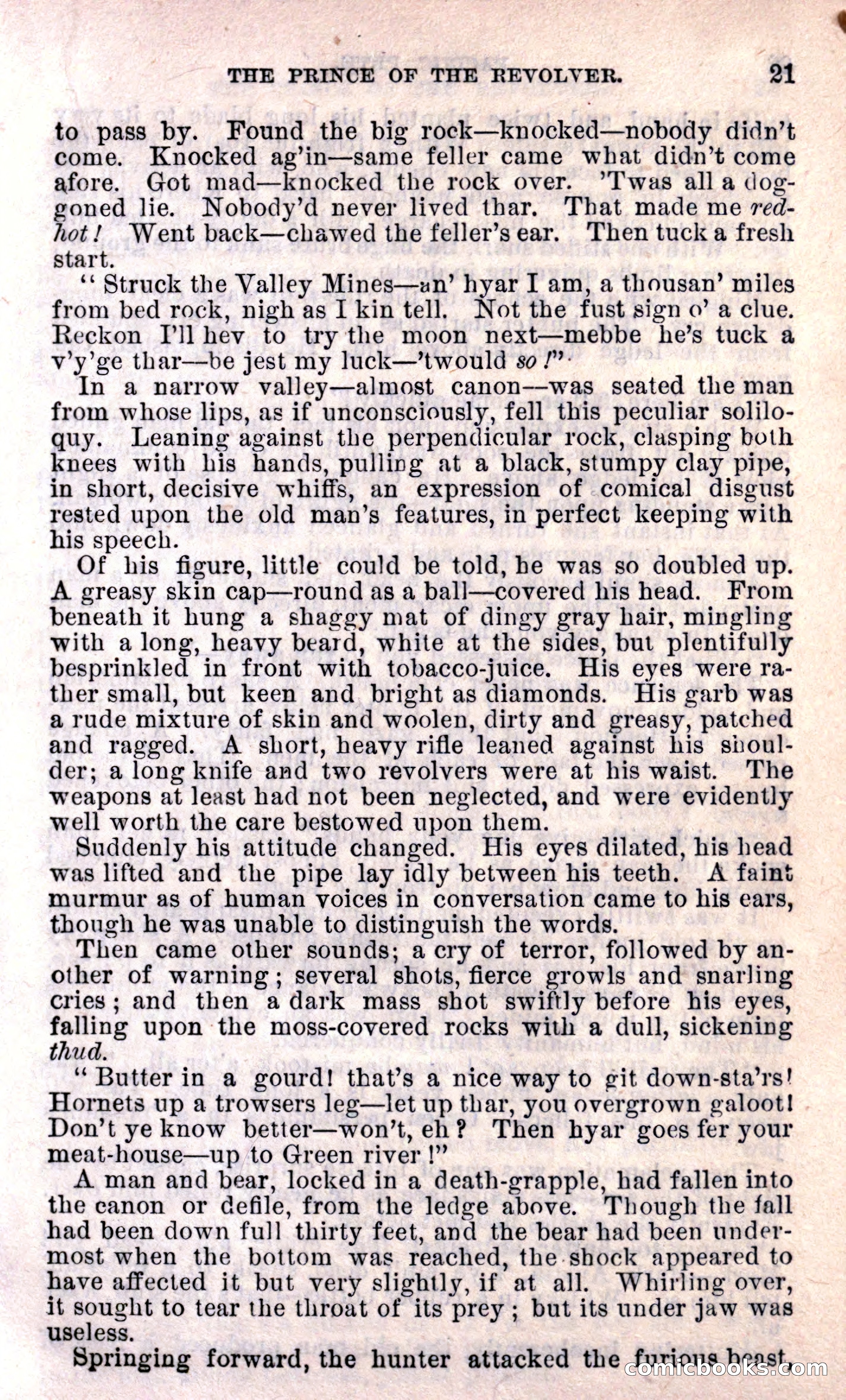 Beadle's Dime Library — page 21 of 15
